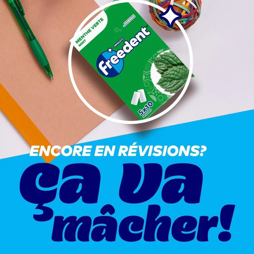 FREEDENT Chewing Gum Sans Sucre Goût Menthe Verte 5 Paquets 70g