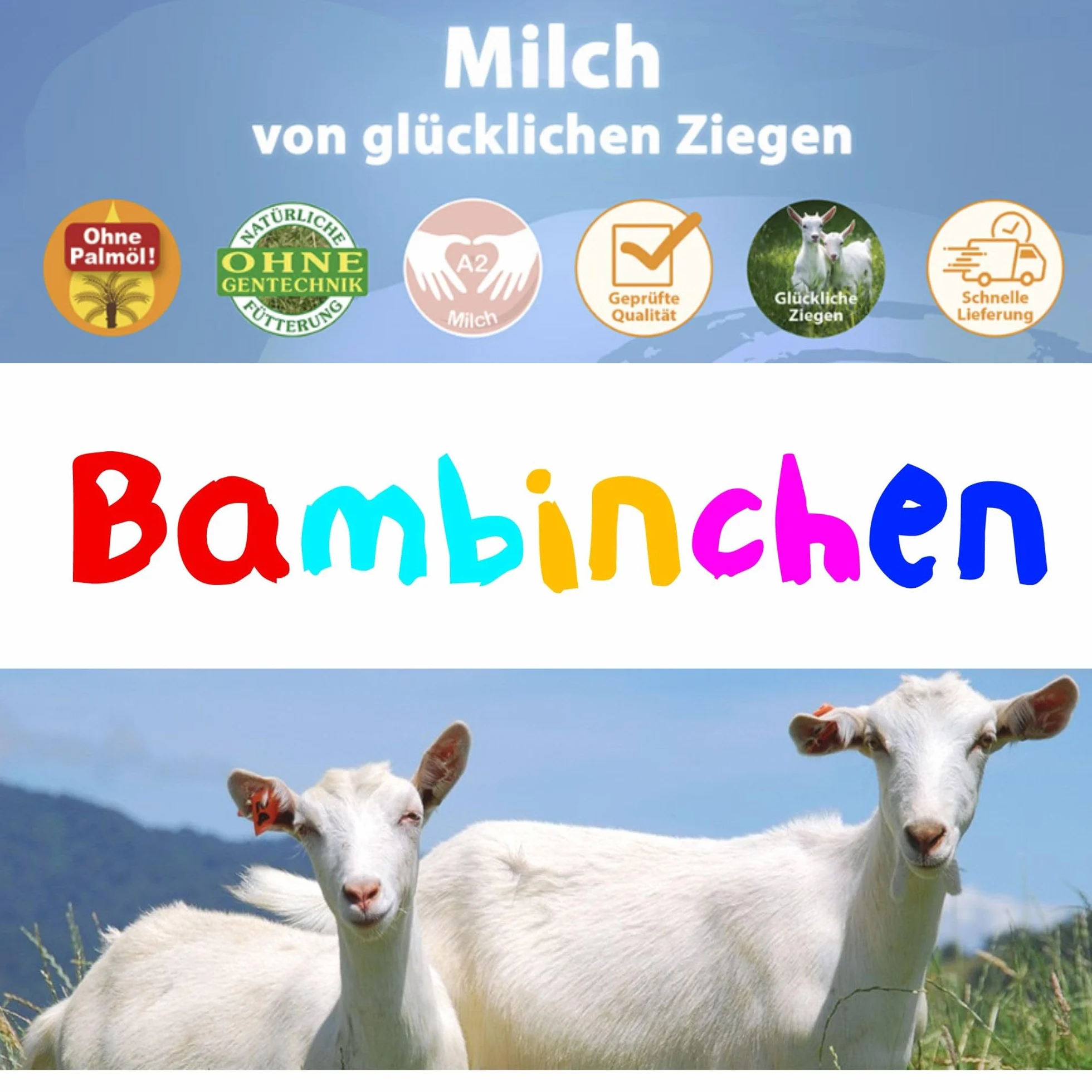 Bambinchen Golden Goat Poudre de lait entier de chèvre, paquet de 12 (12 x 400g)