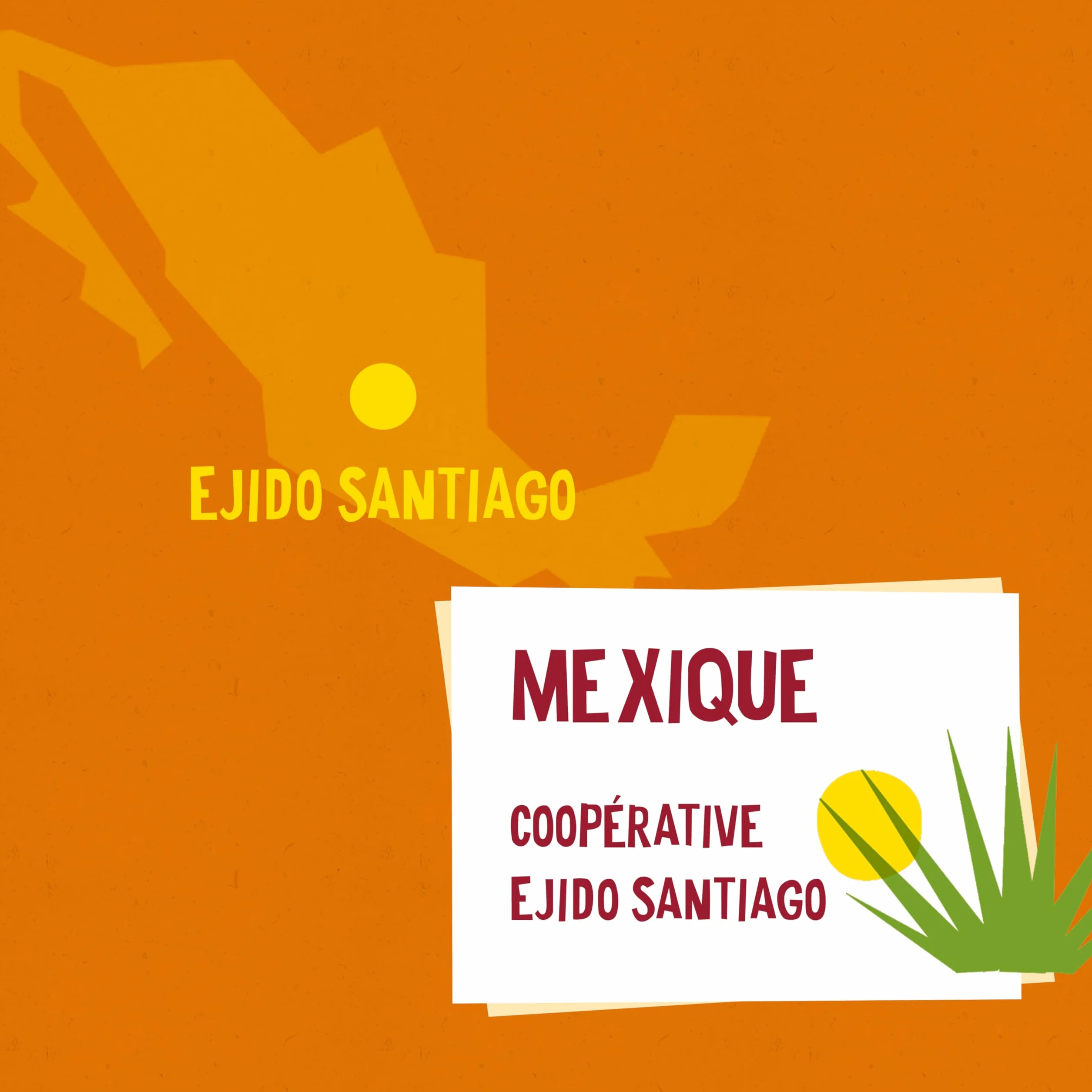 ALTER ECO - Sirop Agave Bio - Sucre d'Origine Naturelle (Fructose) - Non Raffiné - Haut Pouvoir Sucrant - 350 g