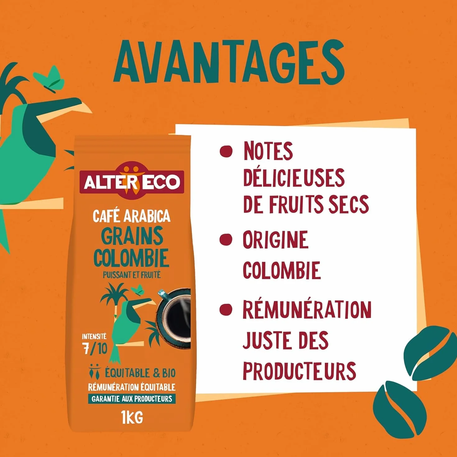 ALTER ECO - Café Grains - Café Arabica Bio de Colombie - Issu du Commerce Equitable - 1 kg