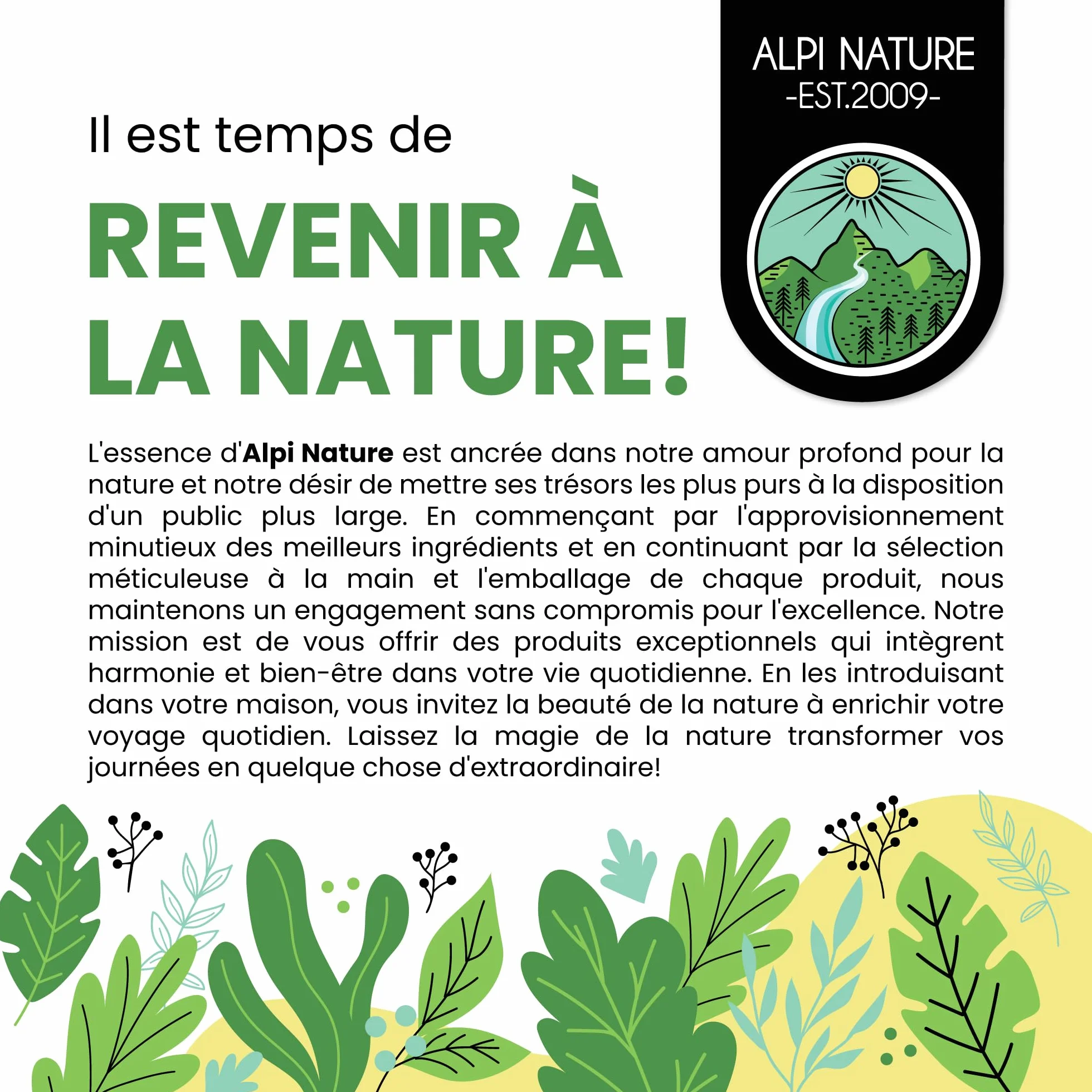 Alpi Nature Racine de Réglisse Tisane 250g, Racine de Reglisse Séchée et Coupée, Thé en Vrac