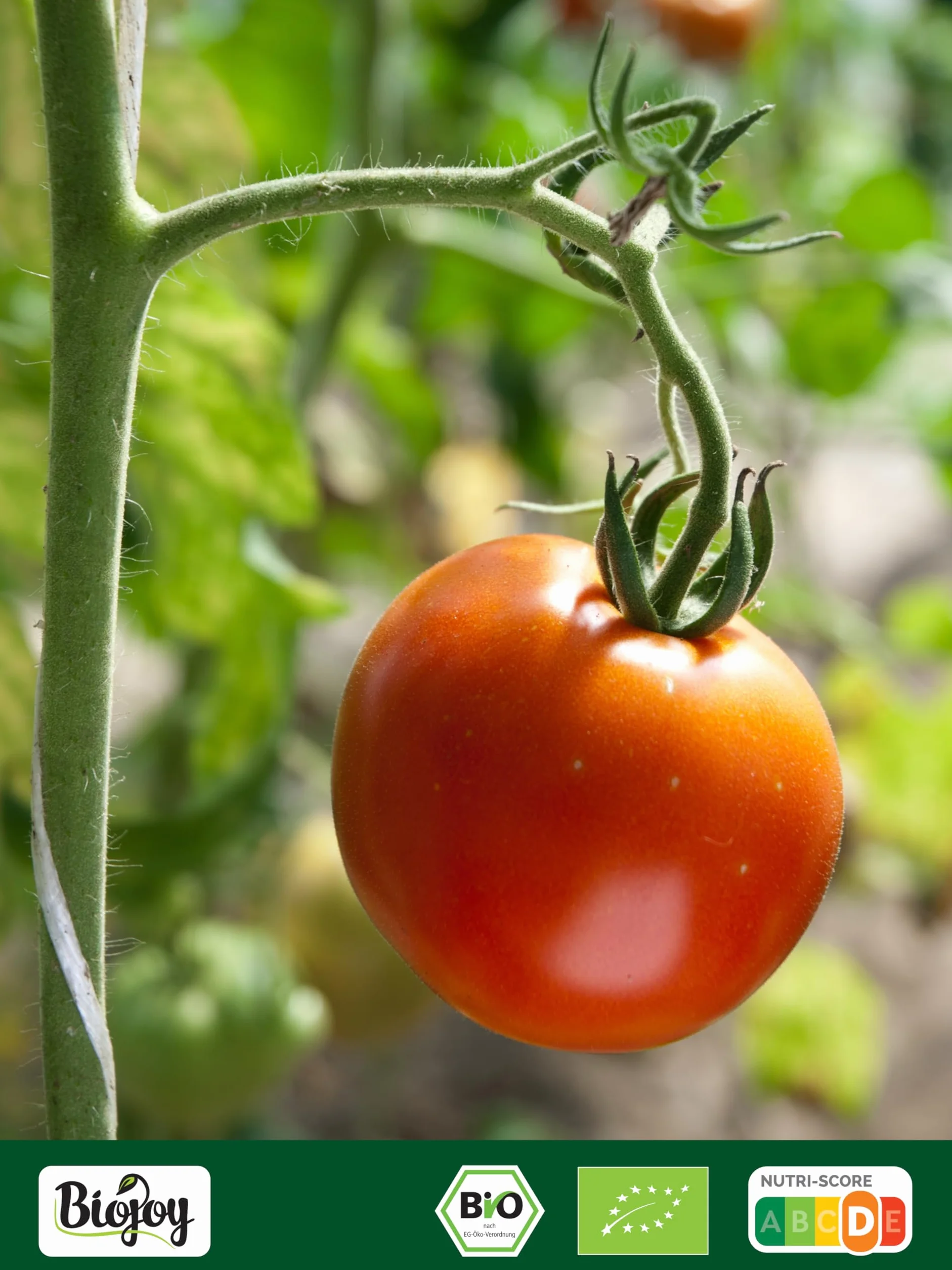 Biojoy Tomates séchées BIO (1 kg), sans huile, non sulfatés, avec 7% de Sel gemme