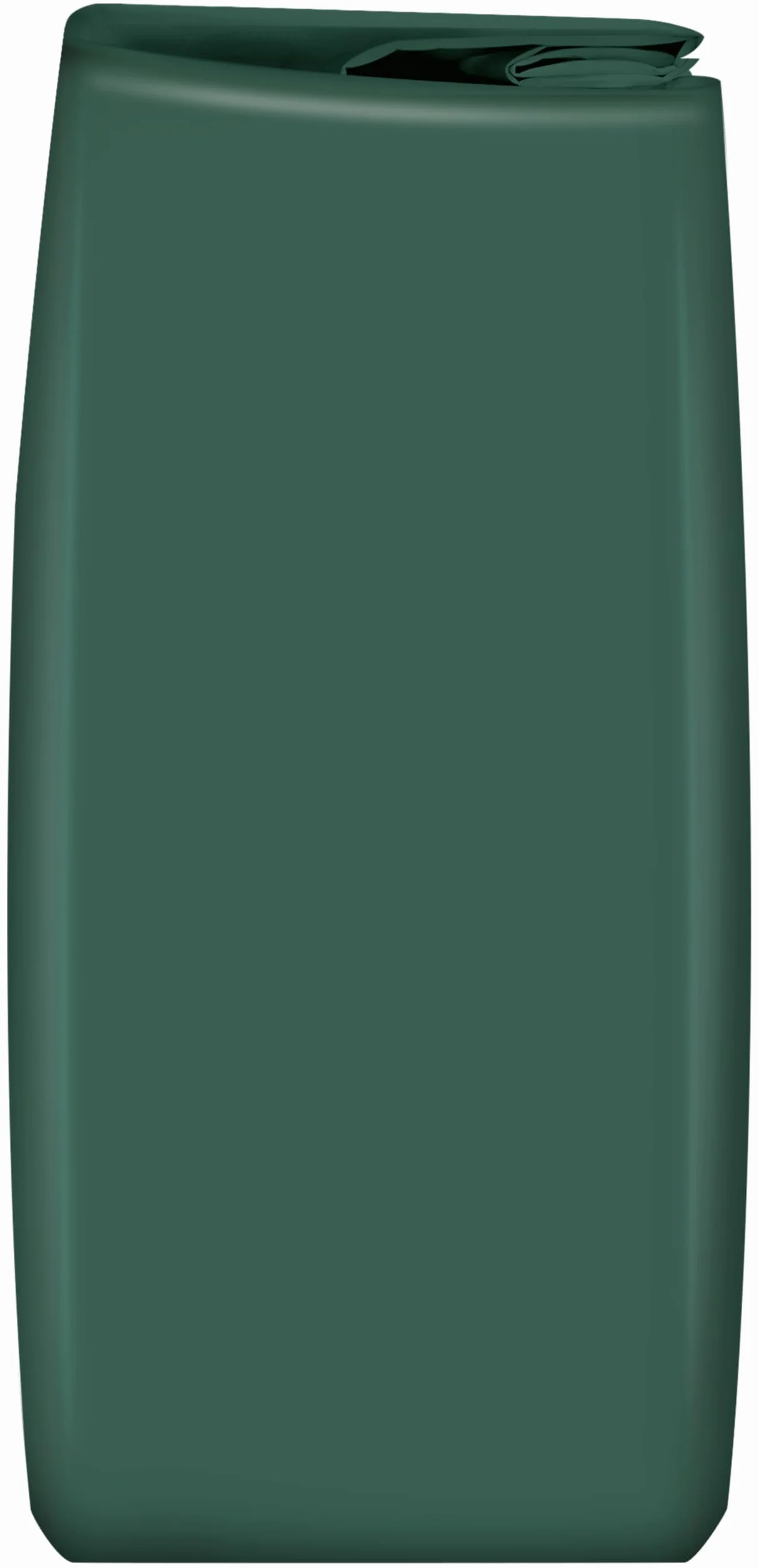 Fuchs Professional - Ail semoule | 1 kg dans un sac | Poudre d'ail pour assaisonner les plats de viande, de légumes et de poisson | Qualité professionnelle pour les gros consommateurs