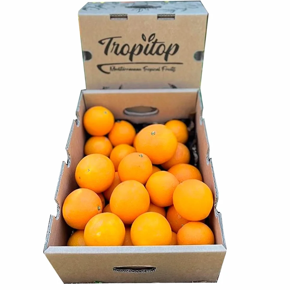 Boîte d'oranges saisonnières | 4, 9 ou 15 kg. Acheter des oranges cultivées de manière durable à Castellón (Espagne) et directement du fermier chez vous (4 kg)