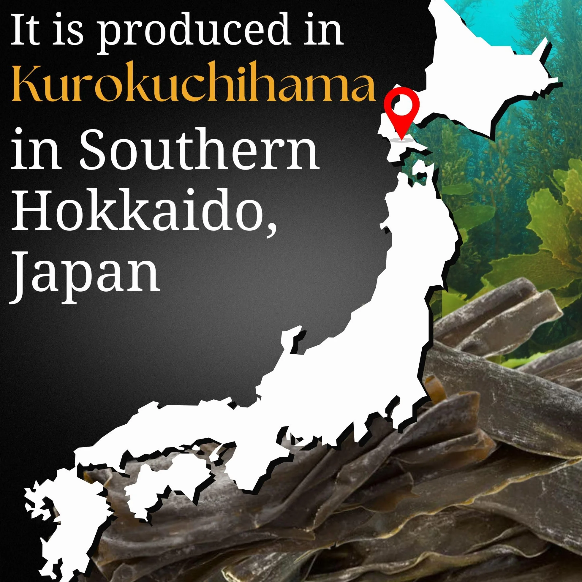 Varech doux Hokkaido, Umami naturel, Kombu sauvage de Hokkaido | Sans conservateurs, sans additifs, sans OGM | Algues séchées japonaises | 100 g SUI of Tokyo
