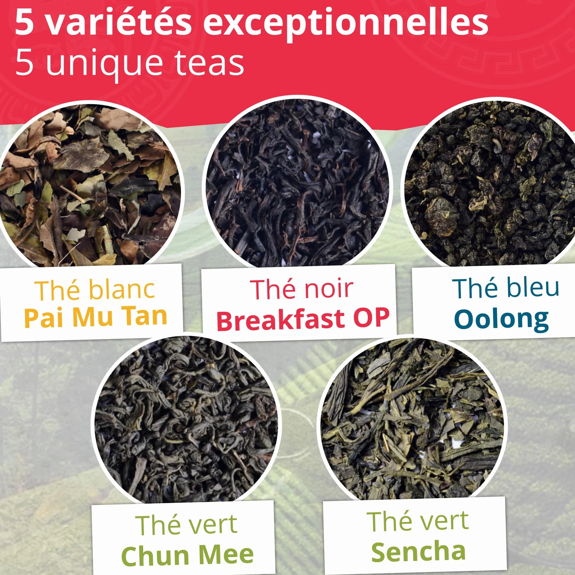Khla - Coffret de 5 Thés Bio en Vrac - 5 Boites Métal - Coffret Cadeau à Offrir - Oolong, Pai Mu Tan, Breakfast OP, Sencha & Chun Mee - Thé Bleu, Vert Noir & Blanc - Tisane, Infusion