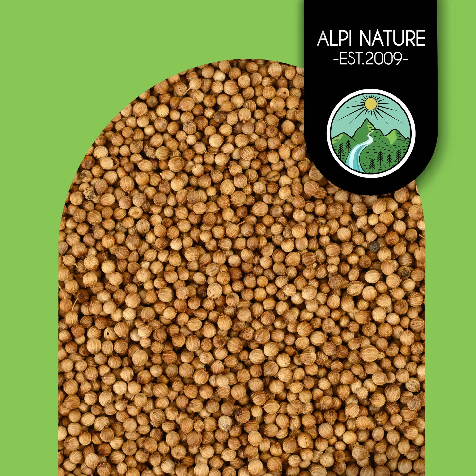 Alpi Nature Coriandre Graine BIO 1kg, Graines de Coriandre Entières pour la Cuisine et les Mélanges d'Épices