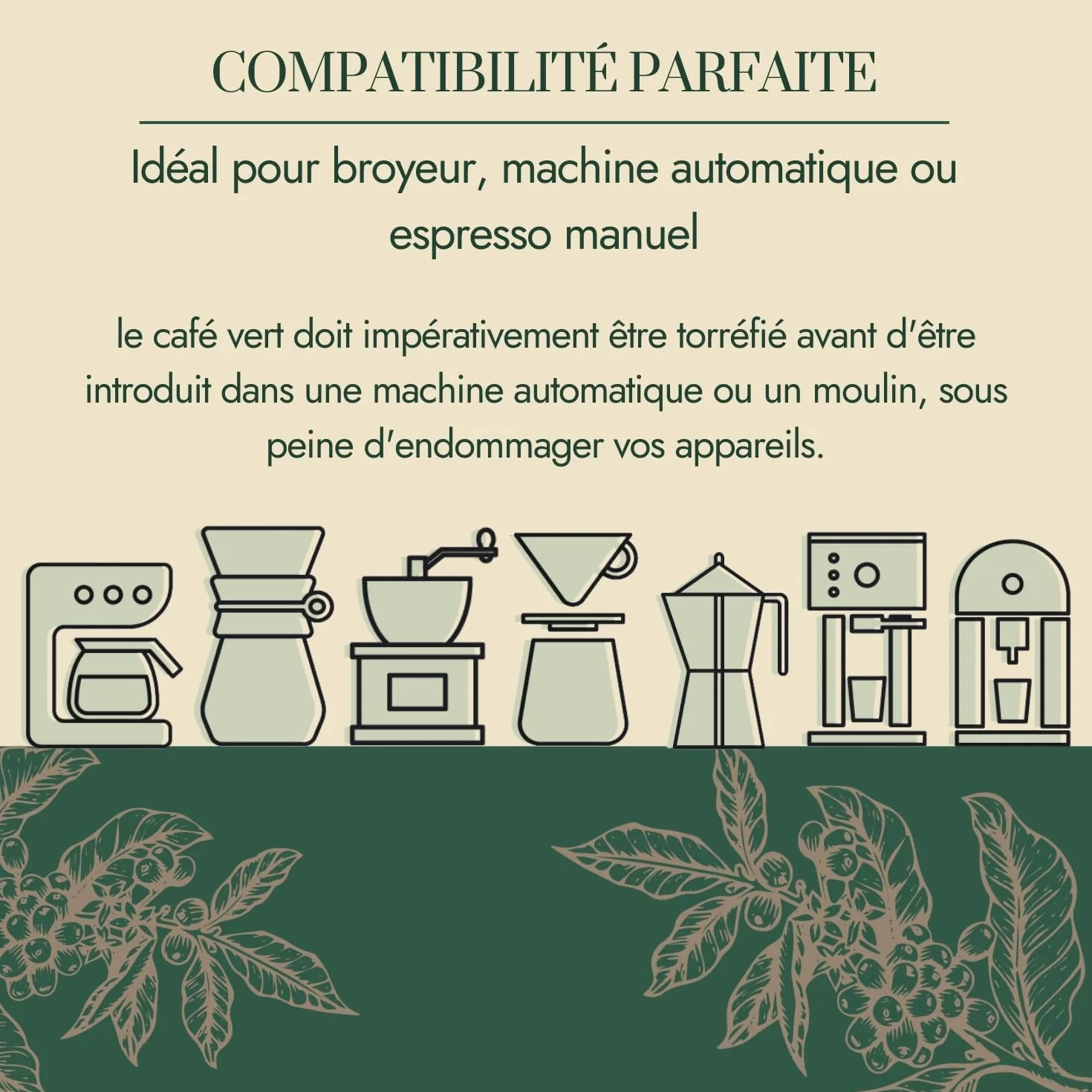 Café Vert en Grain Indonésie Java Jampit 1kg | 100% Arabica Non Torréfié | Café Brut à Torréfier Maison | Arômes Cèdre, Tabac, Épices | Idéal Machine à Cafe Grain