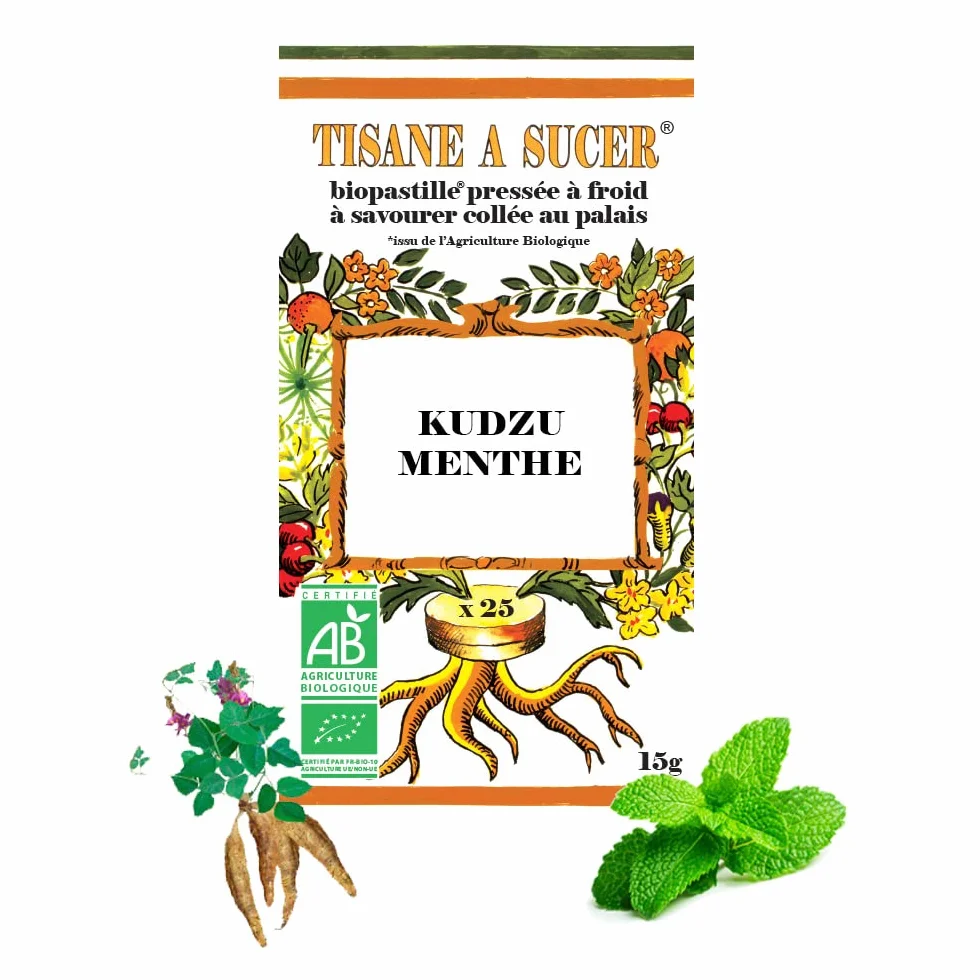 Bio Pastilles Tisane à Sucer Kudzu Menthe