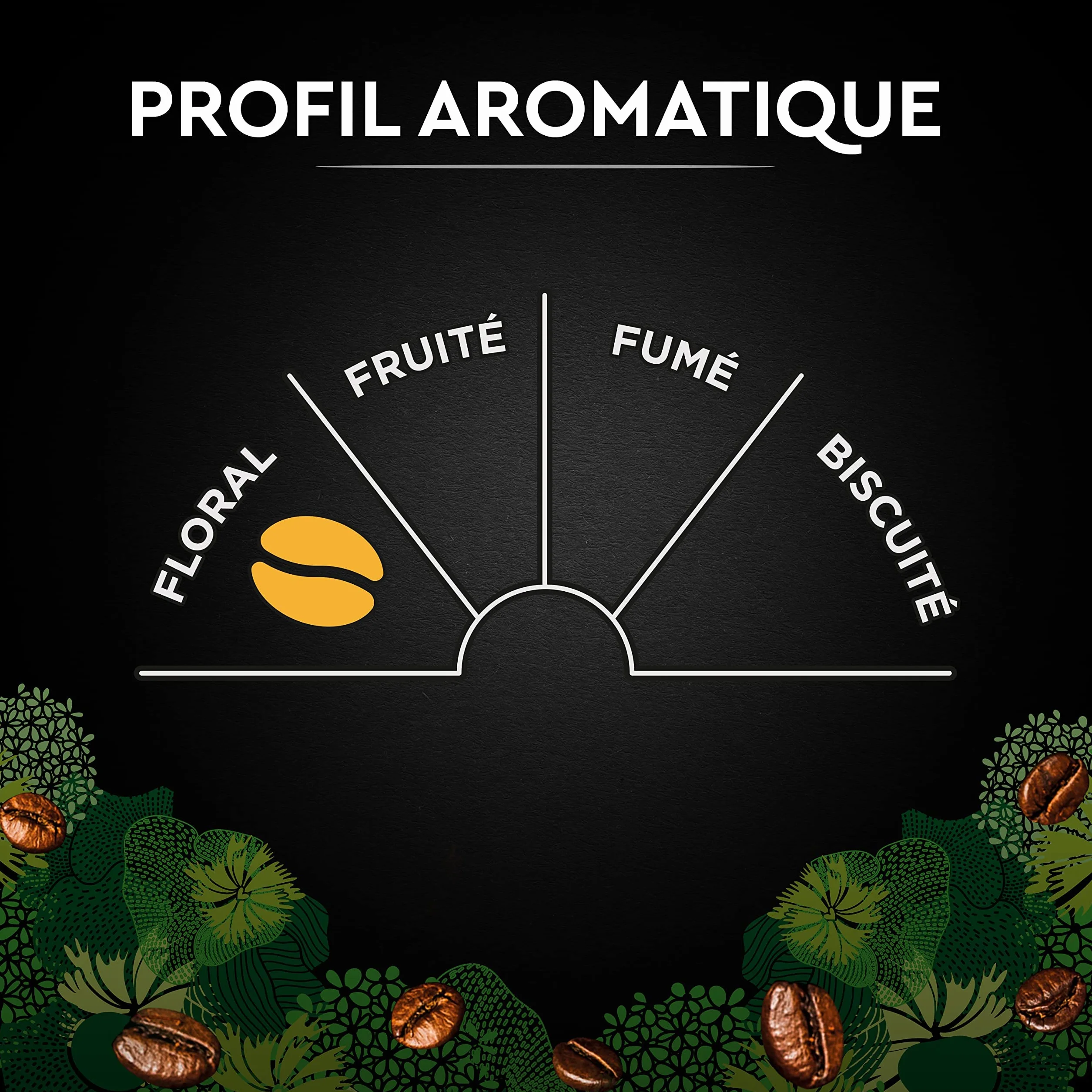 CARTE NOIRE - Café Grain Bio - 100 % Arabica - Origine Amérique Latine - Paquet de 1 kg - Fabriqué en France