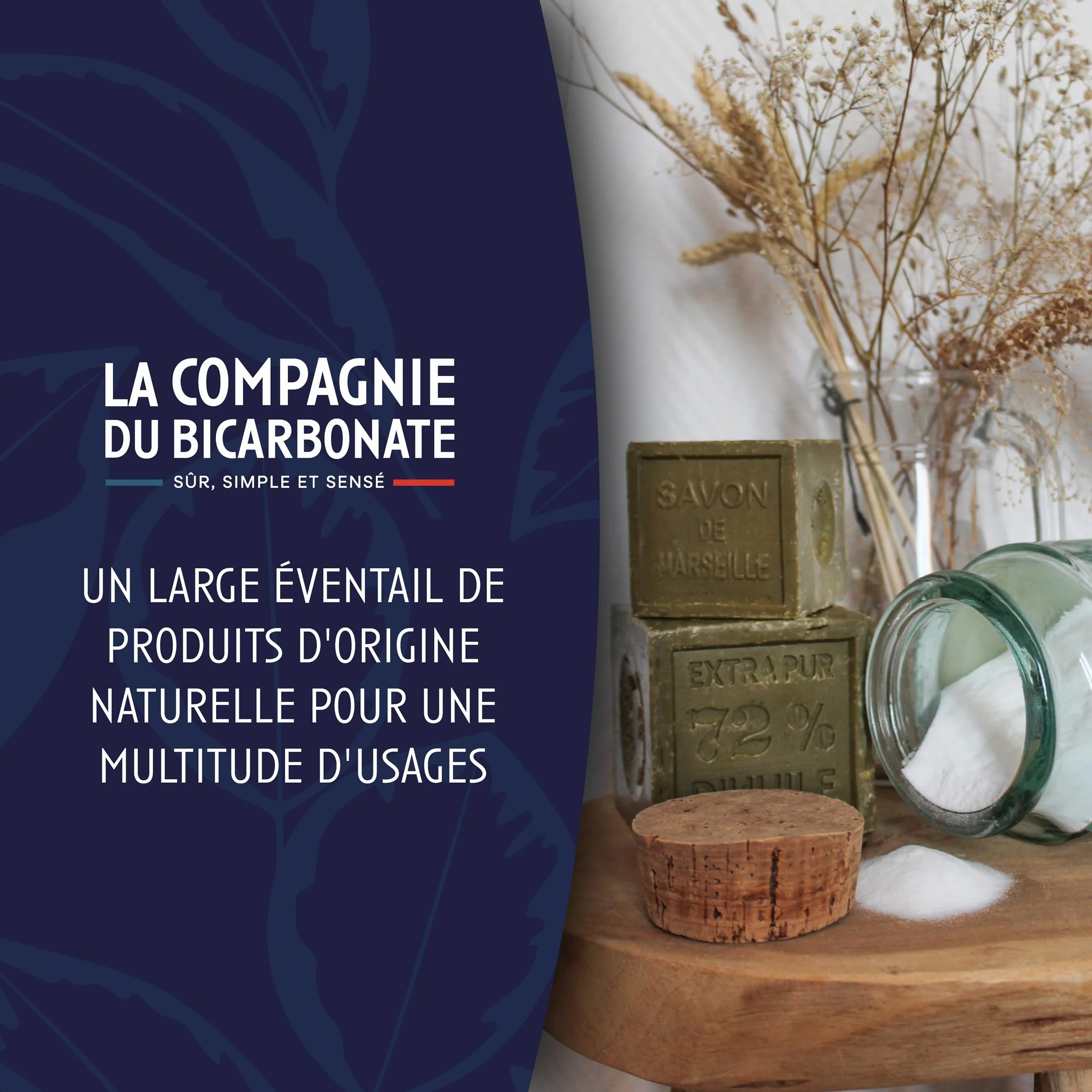 Bicarbonate de Soude Extra Fin - Sachet Kraft 3 kg - Qualité Alimentaire Supérieure - Cosmétique, Maison - Poudre Polyvalente Ultra Pure - La Compagnie du Bicarbonate - certifié par ECOCERT