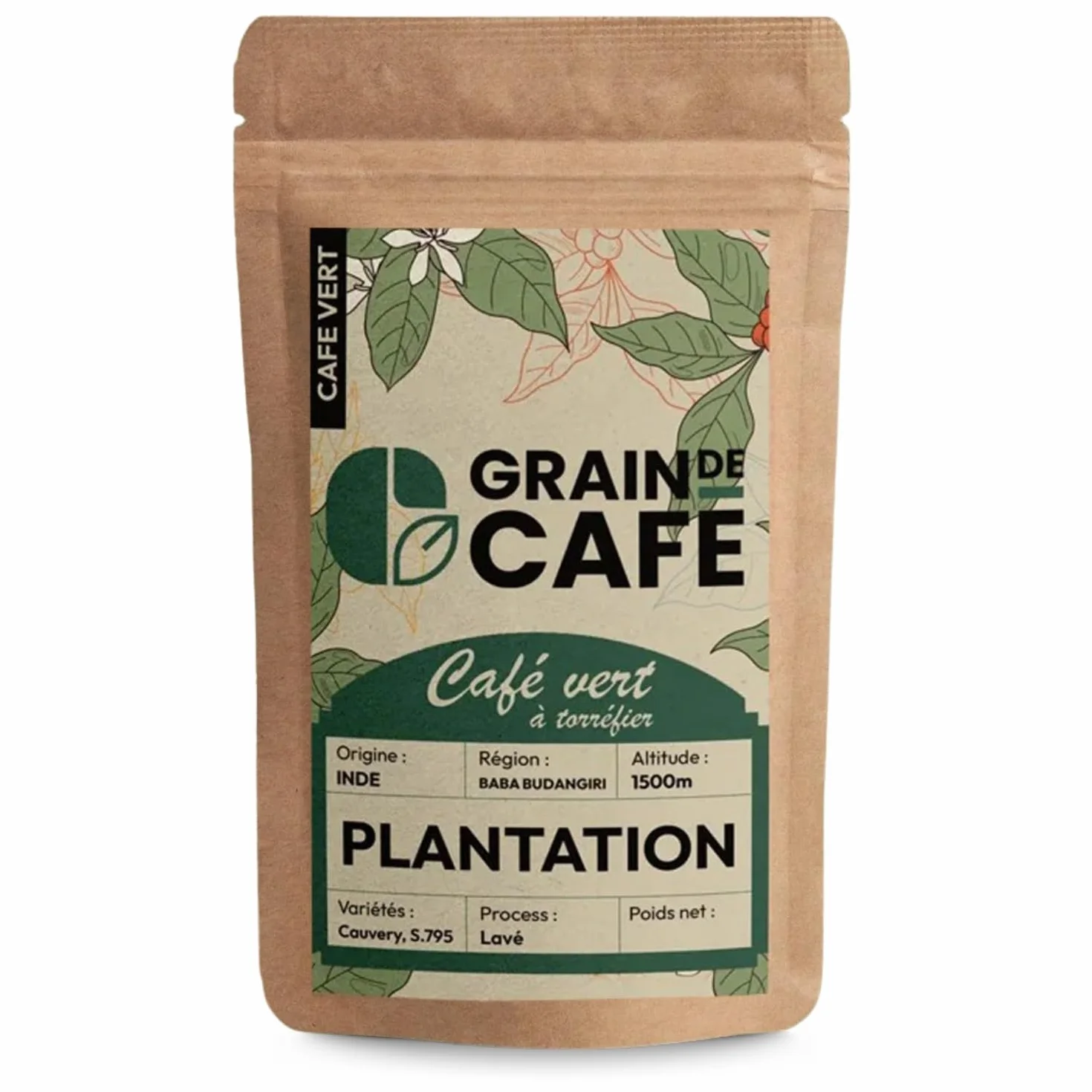 Graindecafé – Café Vert Inde Plantation 1kg | 100% Arabica Non Torréfié | Doux Et Épicé Des Ghâts Occidentaux | Notes De Miel Et Cannelle | Idéal Machine À Grain Une Fois Torréfié