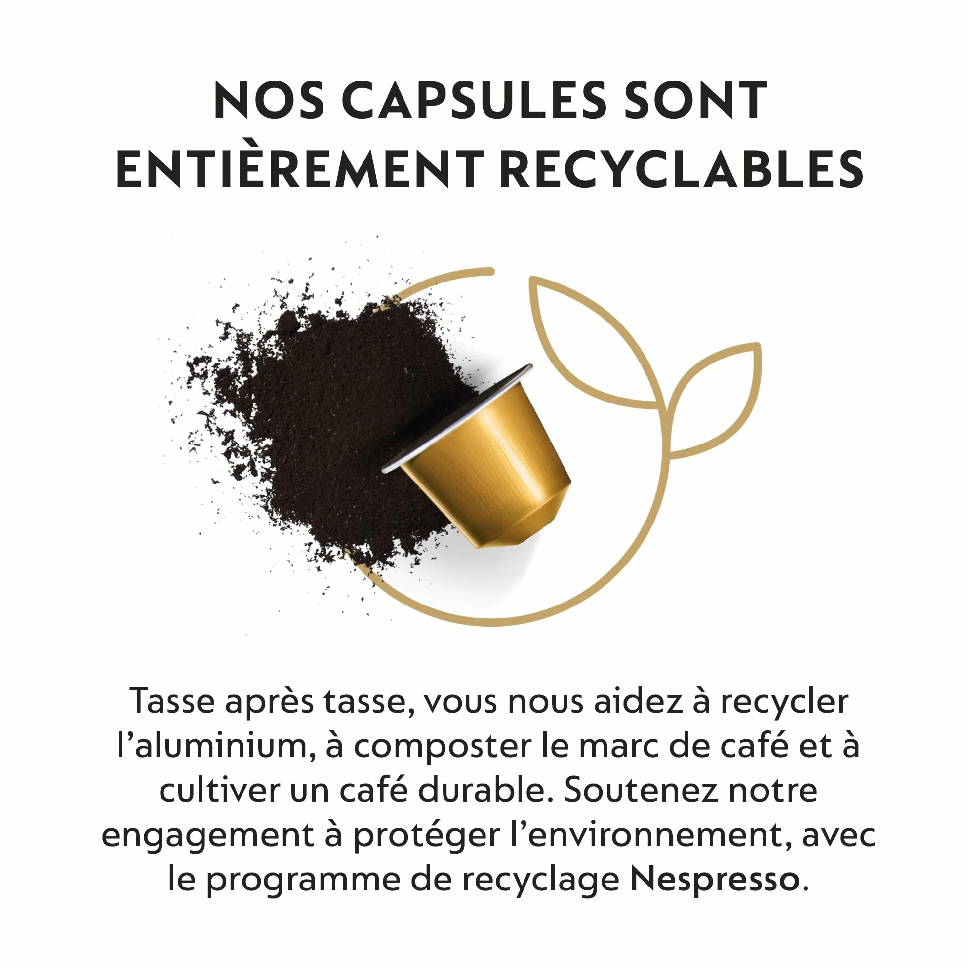 Nespresso Lot de 50 capsules de café Volluto Espresso