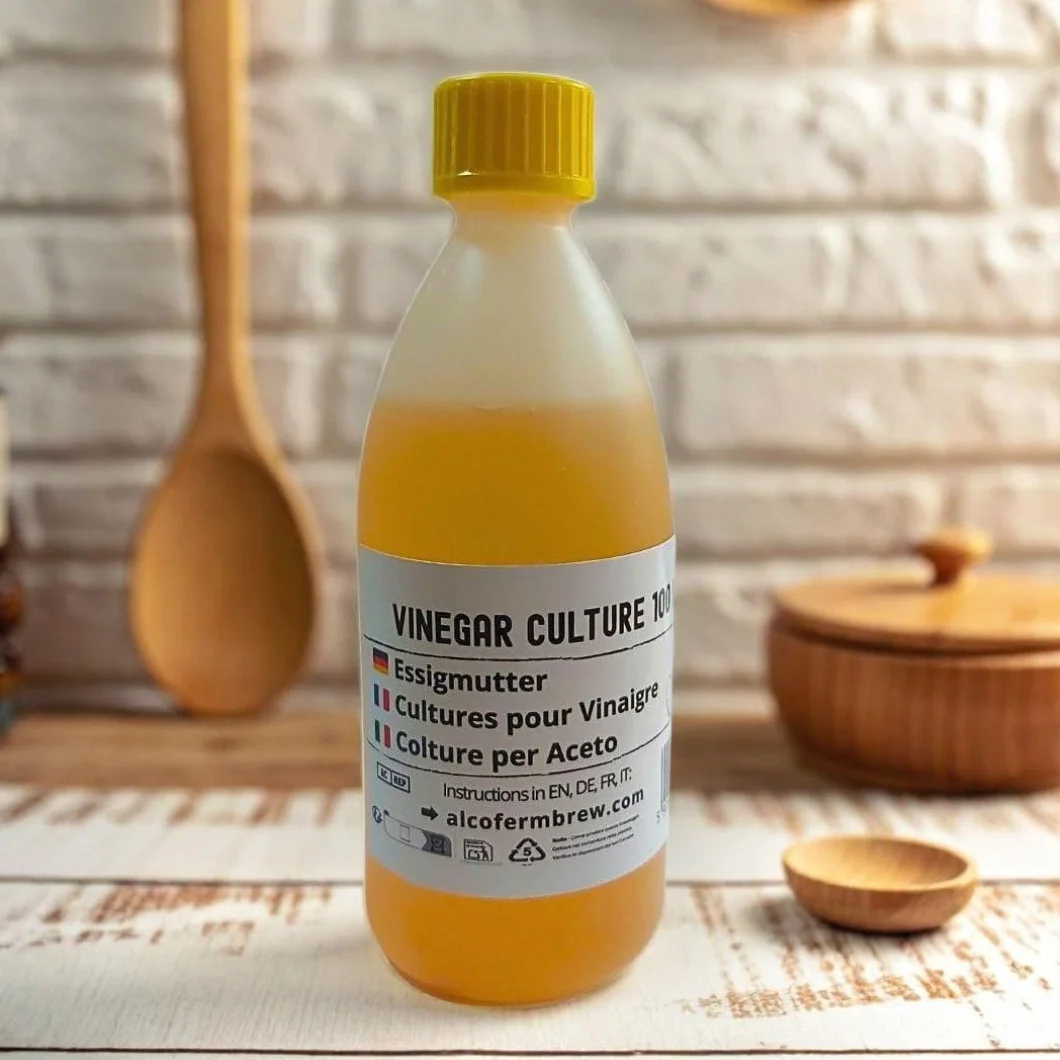 Mère de vinaigre 100 ml, Bactéries acétiques pour fermentation, Culture de fermentation maison, Acetobacter