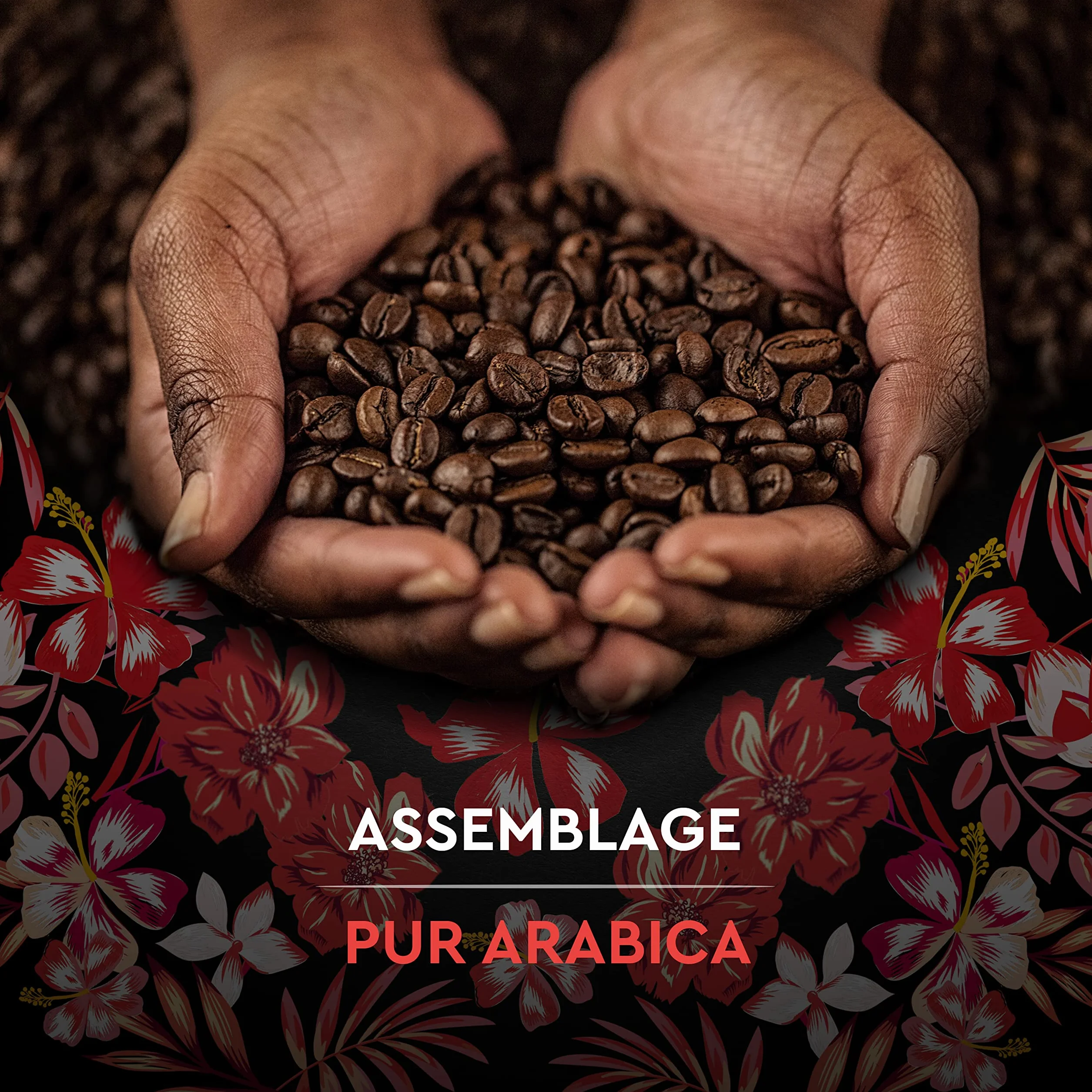 Carte Noire - Grains bio Honduras - Paquet de 1 kg