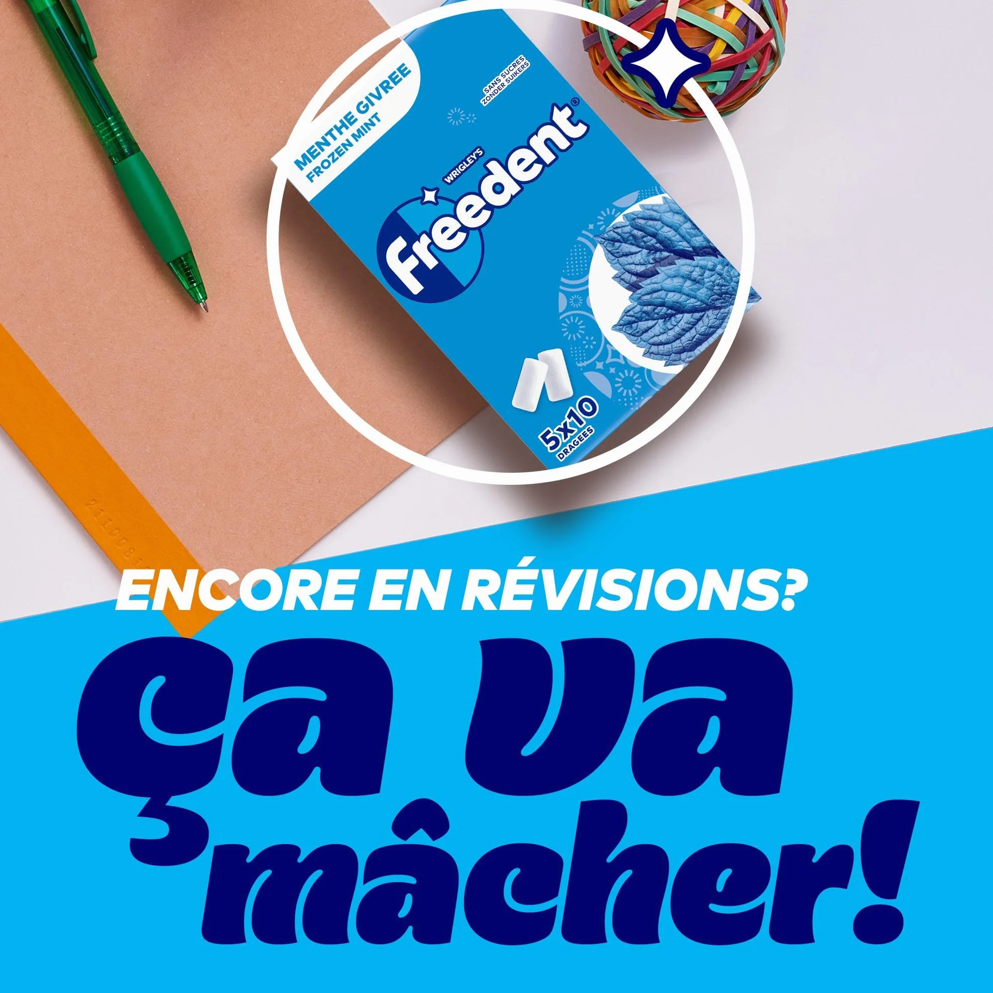 FREEDENT Chewing Gum Sans Sucre Goût Menthe Givrée 5 Paquets 70g