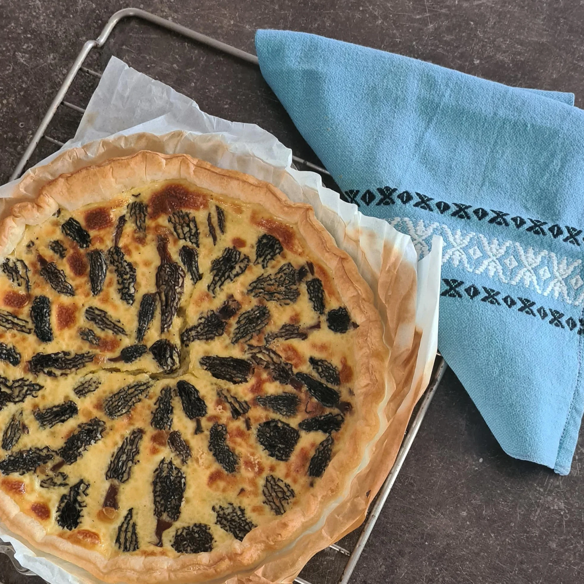 CHAMPILAND - Morille Séchée - Champignons Sauvages Sélectionnés - Triés à la Main dans le Sud-Ouest de la France - Saveur Exceptionnelle - Riche en Protéines (Morille Spéciale - 250 g)