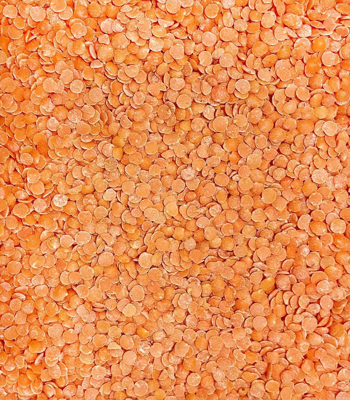Sabarot - Lentilles corail biologiques - Sachet 450g