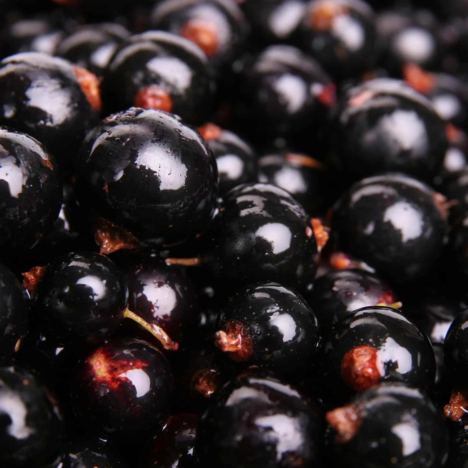 Sirop de Cassis Mathieu Teisseire, pour boissons, smoothies, cocktails, cidres, bières, milk-shakes, bouteille de 1L