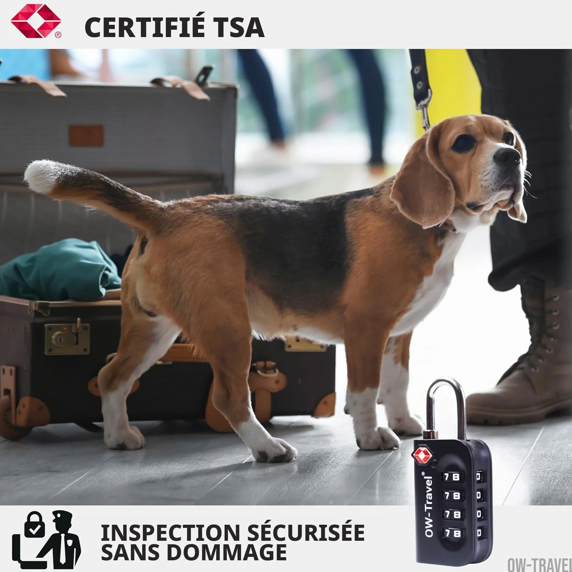 Cadenas TSA pour Valise 4 Chiffres Antivol Bagages Noir