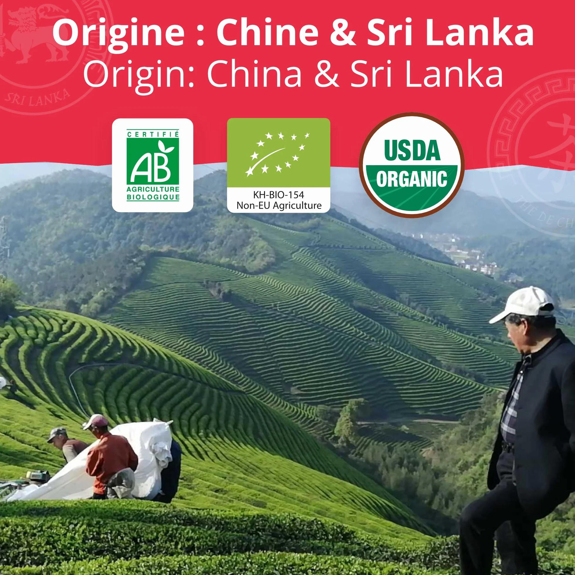 Khla - Coffret de 5 Thés Bio en Vrac - 5 Boites Métal - Coffret Cadeau à Offrir - Oolong, Pai Mu Tan, Breakfast OP, Sencha & Chun Mee - Thé Bleu, Vert Noir & Blanc - Tisane, Infusion