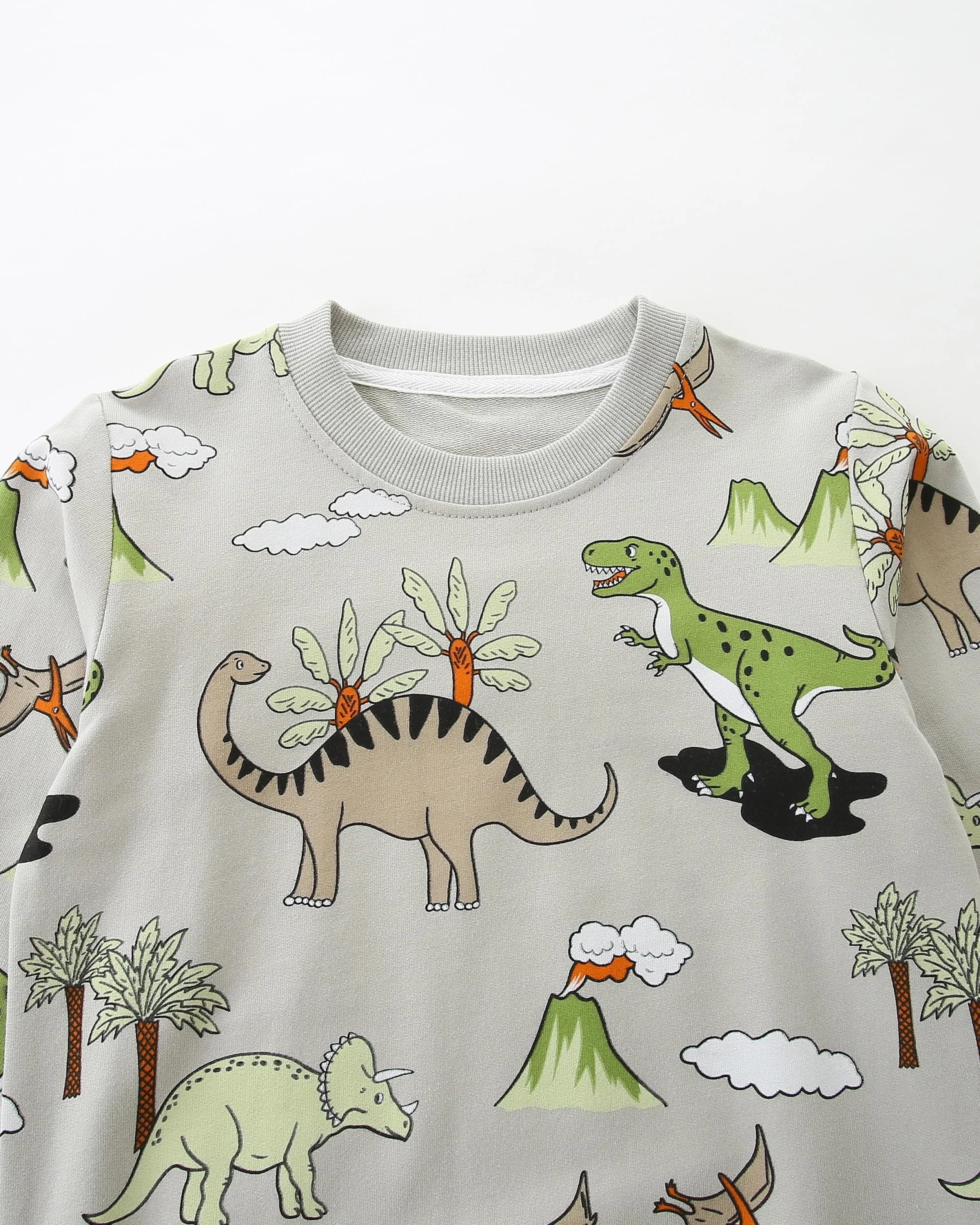 Sweatshirt Garçon Coton 100% Motifs Noël Dinosaure Excavateur Col Rond Manches Longues Taille 1-7 Ans
