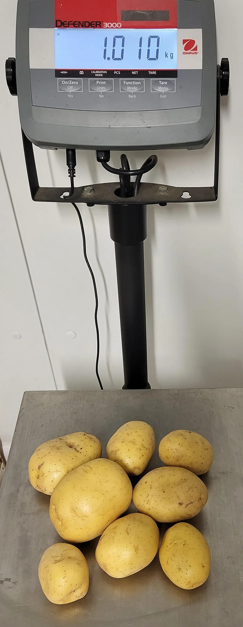 Pomme de terre agata - Vrac 1 kilo - Origine France