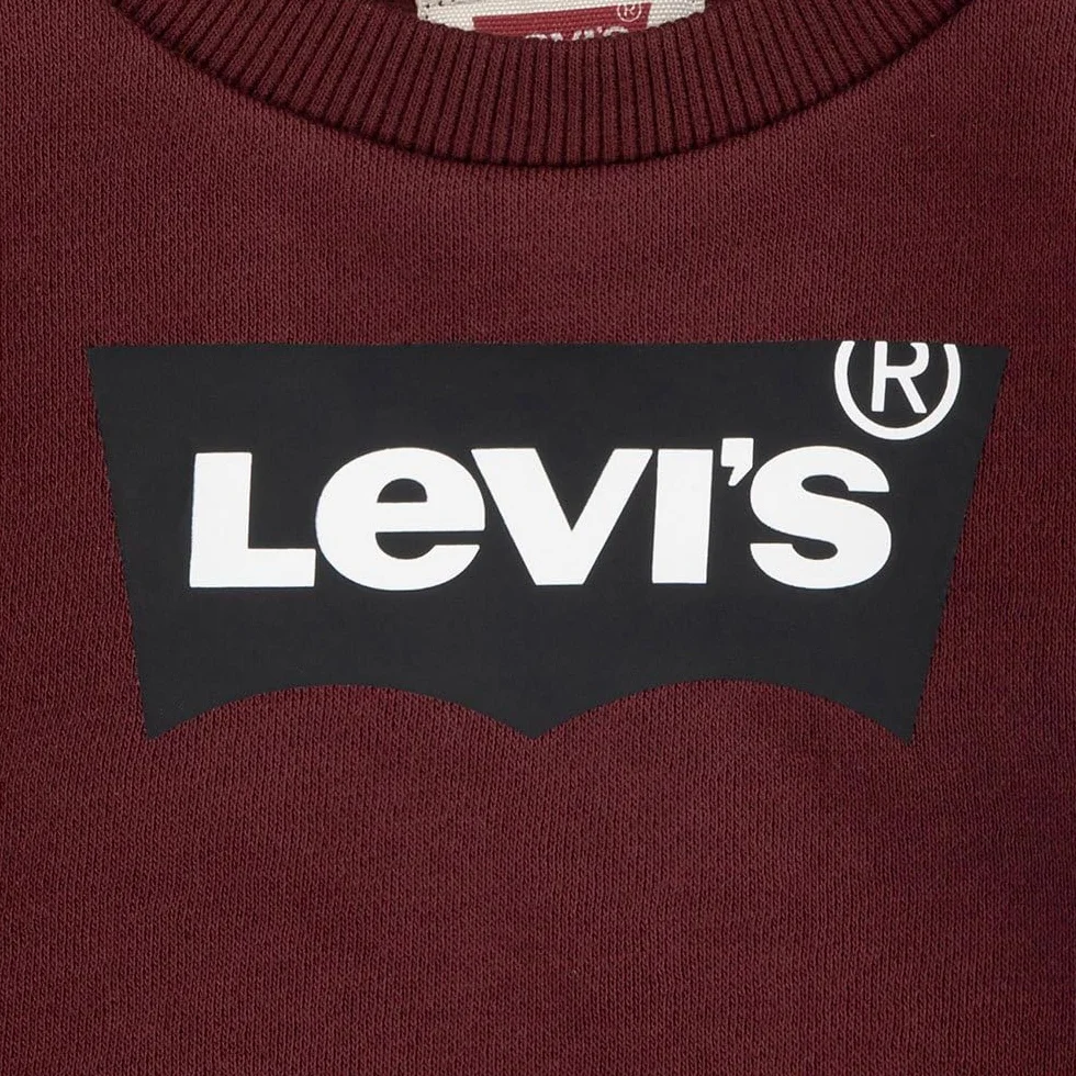 Levi's Long Sleeve Batwing Tee for Boys