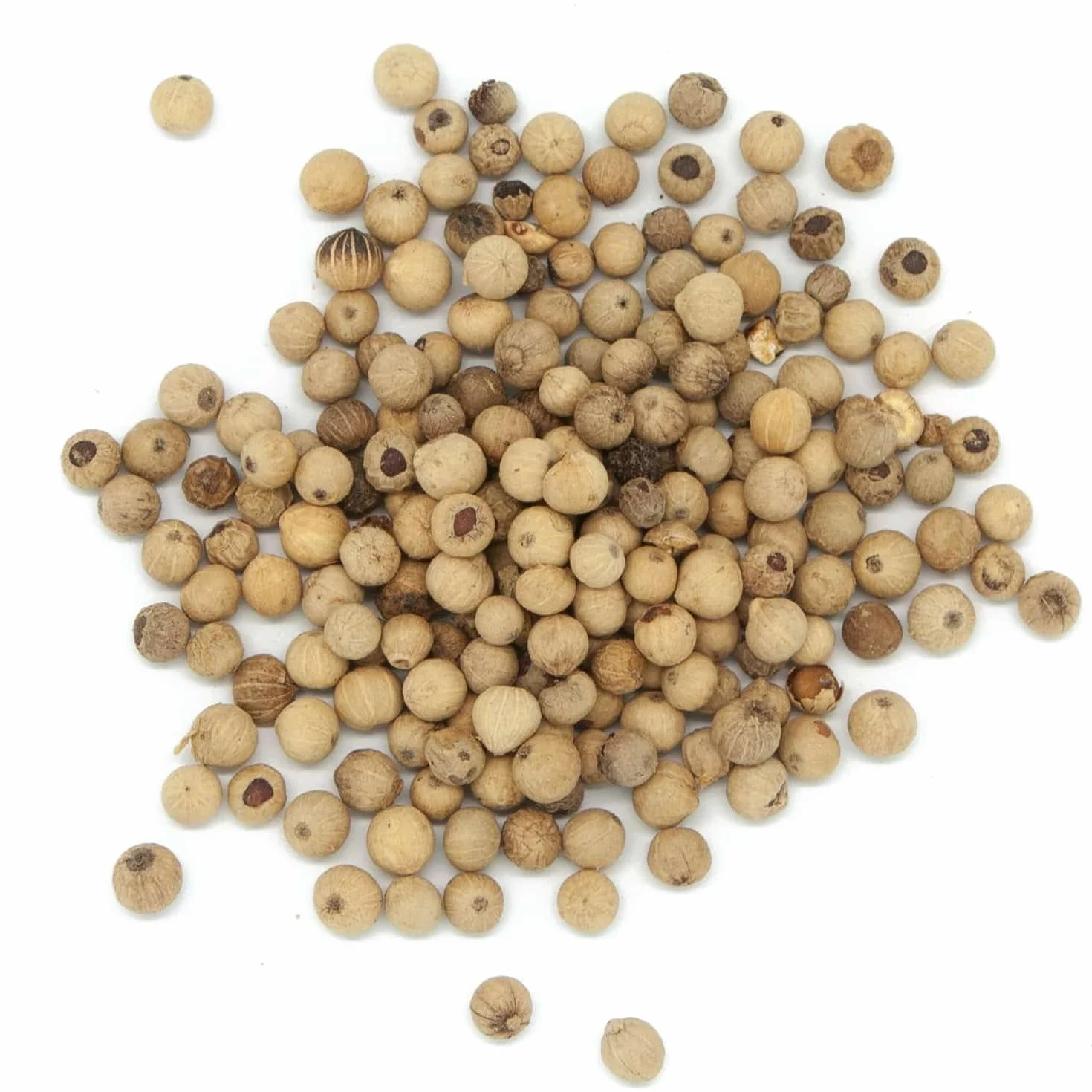 Aube-Gourmet Poivre blanc de Sarawak en sachet de 250g