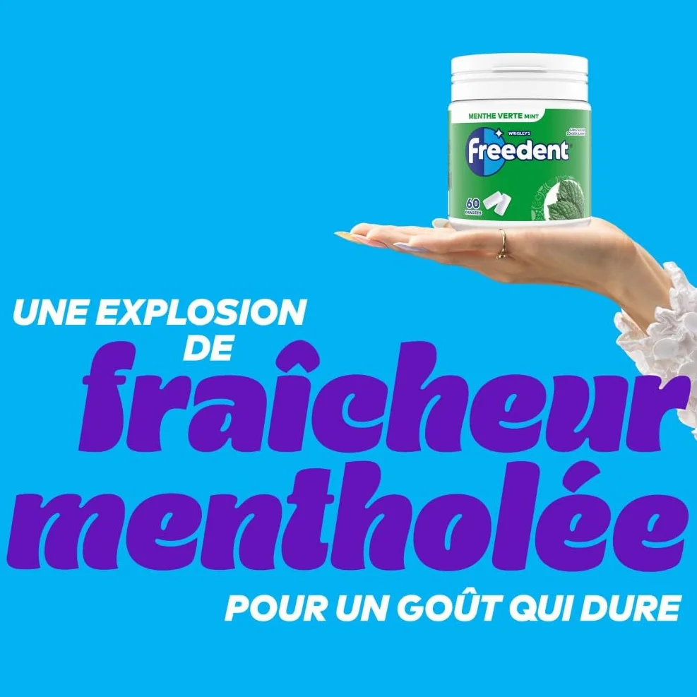 FREEDENT Chewing Gum Sans Sucre Goût Menthe Verte Boîte de 60 Dragées Grand Format
