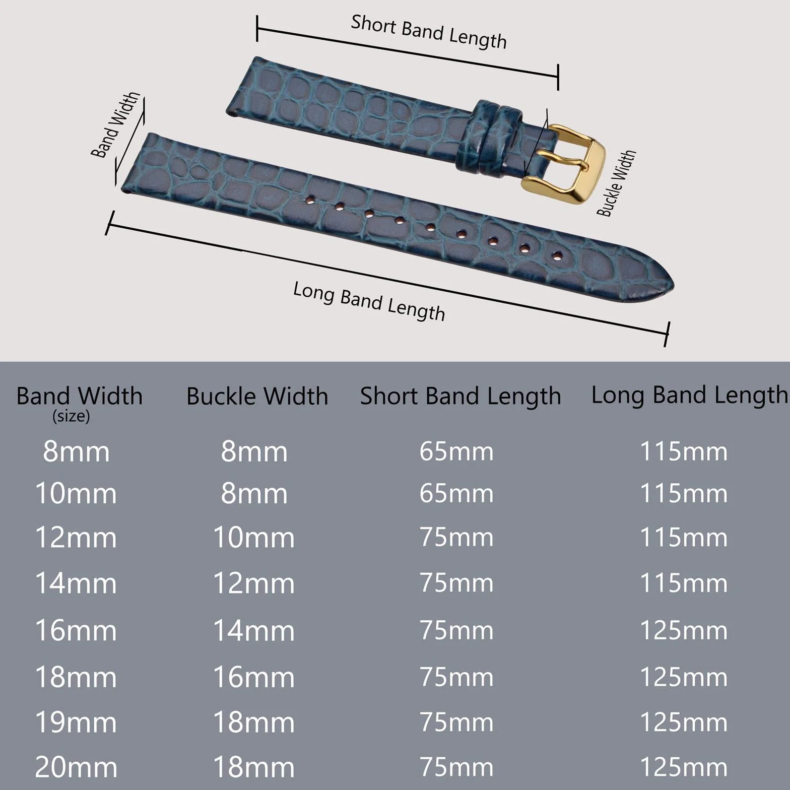 BISONSTRAP Bracelets de Montre en Cuir, Bandes de Remplacement 10mm-20mm