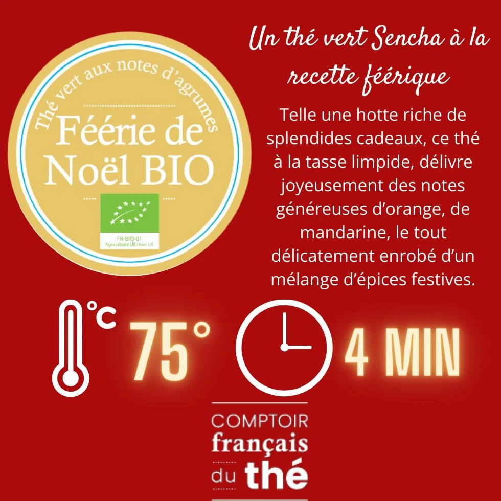Tisanière rouge + 5x20g de Thés et Infusions de Noël assortis | Cadeau Original pour Noël COMPTOIR FRANÇAIS DU THÉ