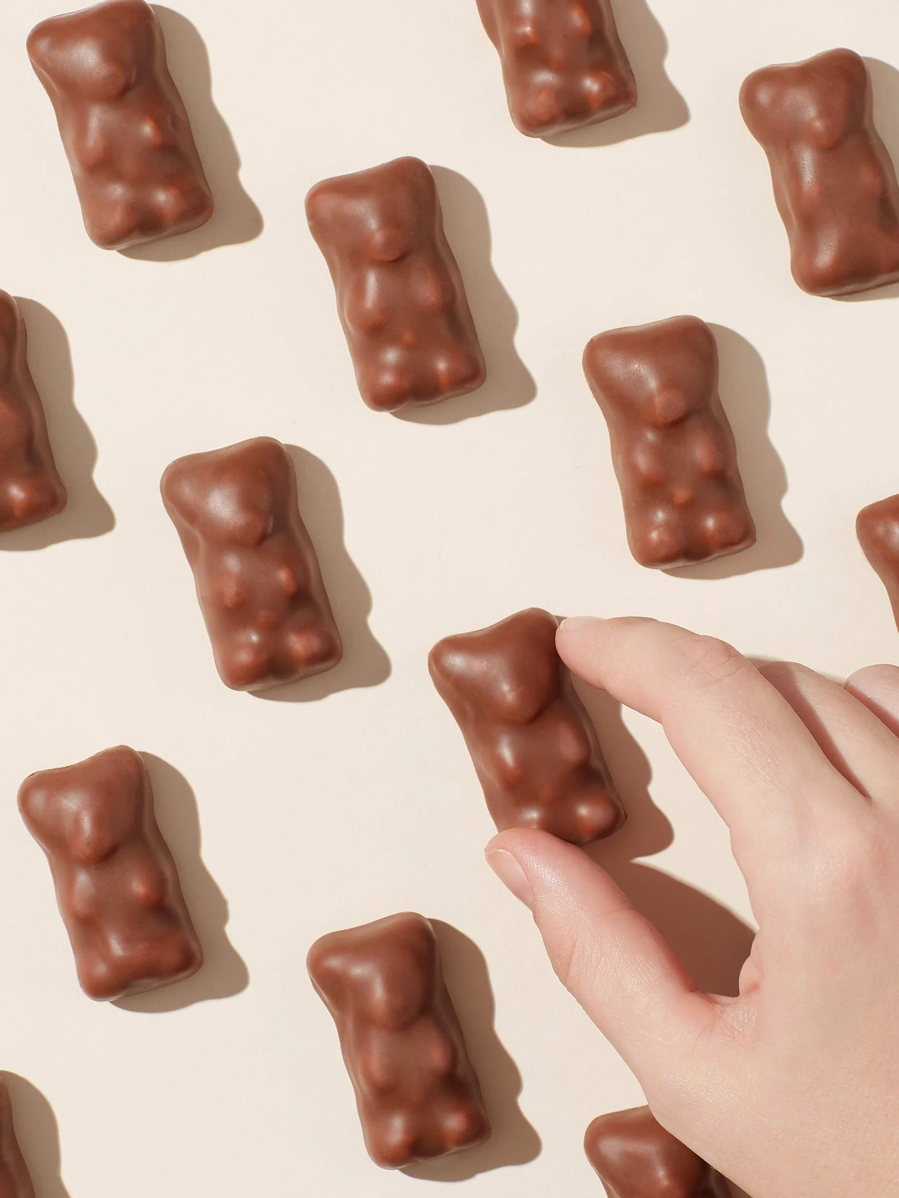 Cémoi - Présentoir L’Authentique Petit Ourson Guimauve, Chocolat au Lait – Fabriqué en France, 160 Pièces (1.49 kg)