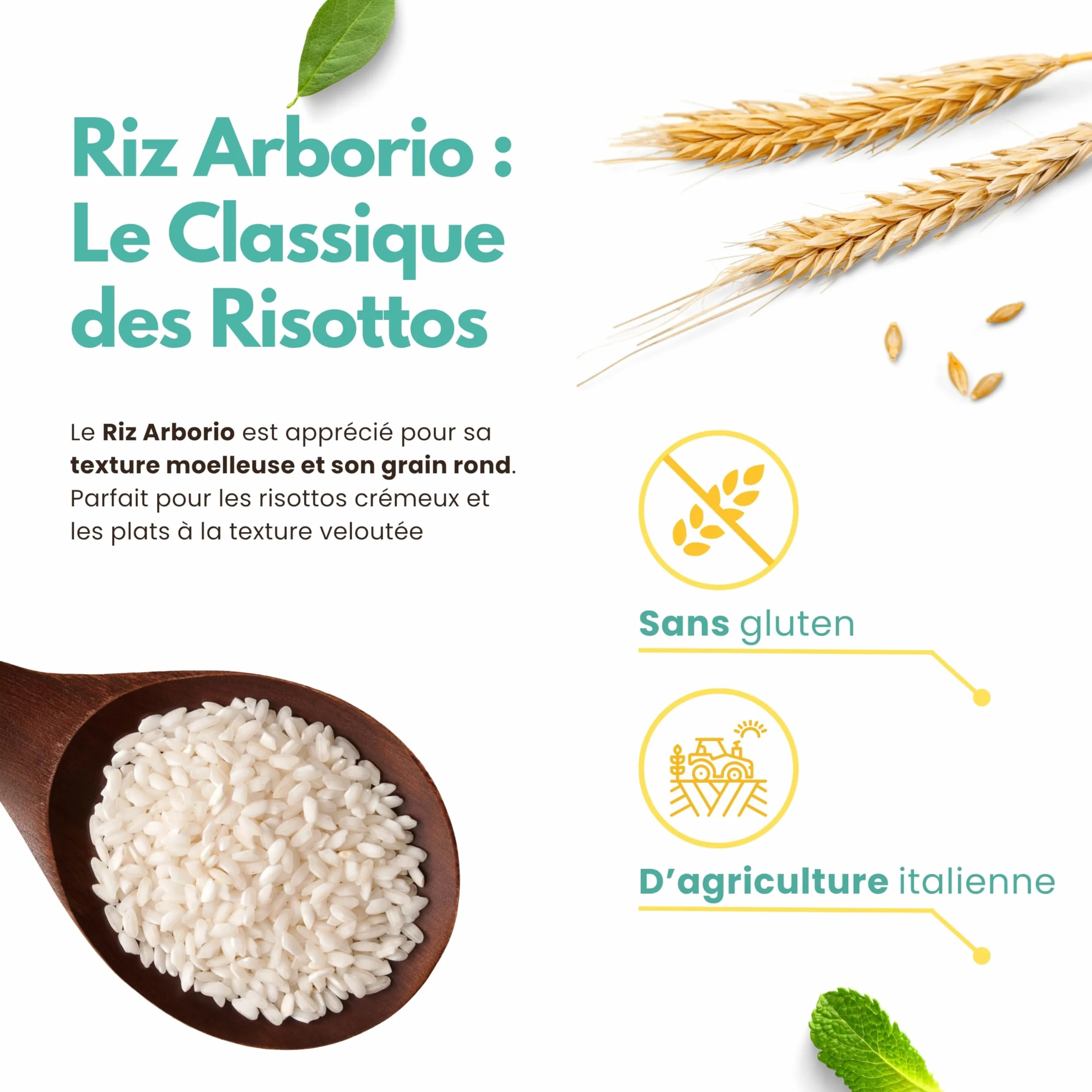 Riz Arborio Italien 2 kg – Spécial Risottos, Arancini et Soupes – Grains Fermes et Crémeux – Sans Gluten – Made in Italy - 13 di Ilaria