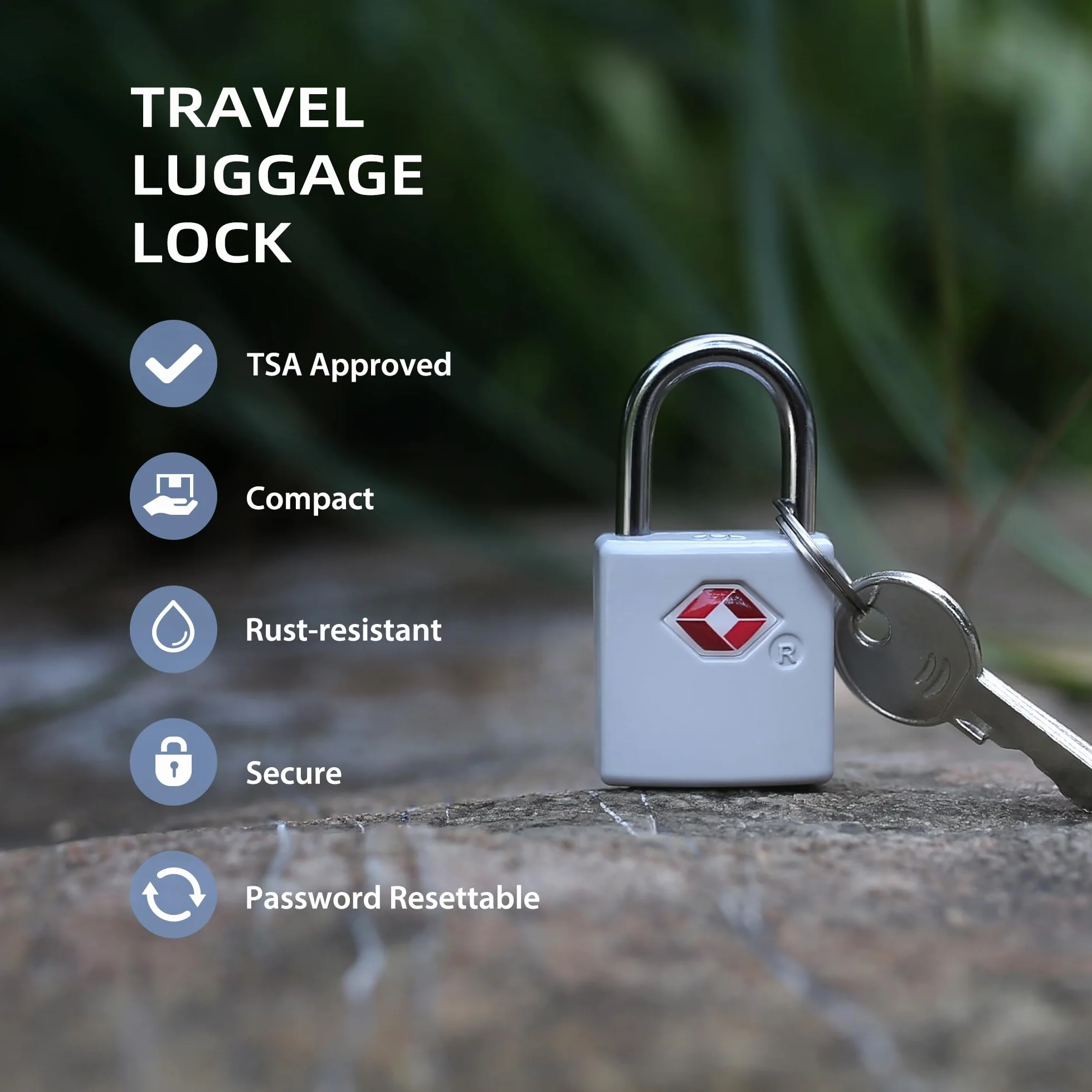 Lot de 4 cadenas de voyage approuvés par la TSA en alliage de zinc avec clés