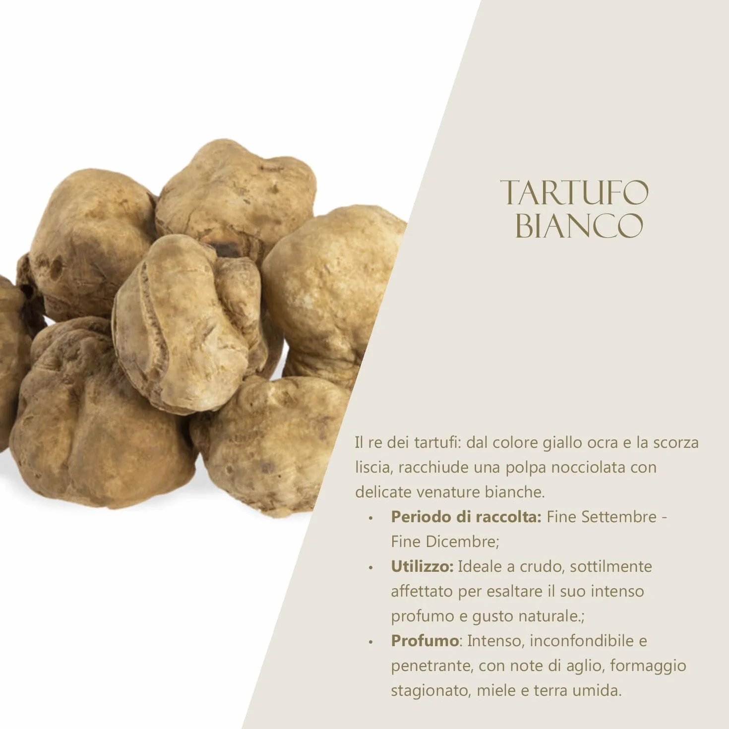 Huile d’Olive Extra Vierge à la Truffe Blanche avec Coffret - 250ml | Condiment Gourmet avec Truffe en Tranches | Fabriqué en Italie