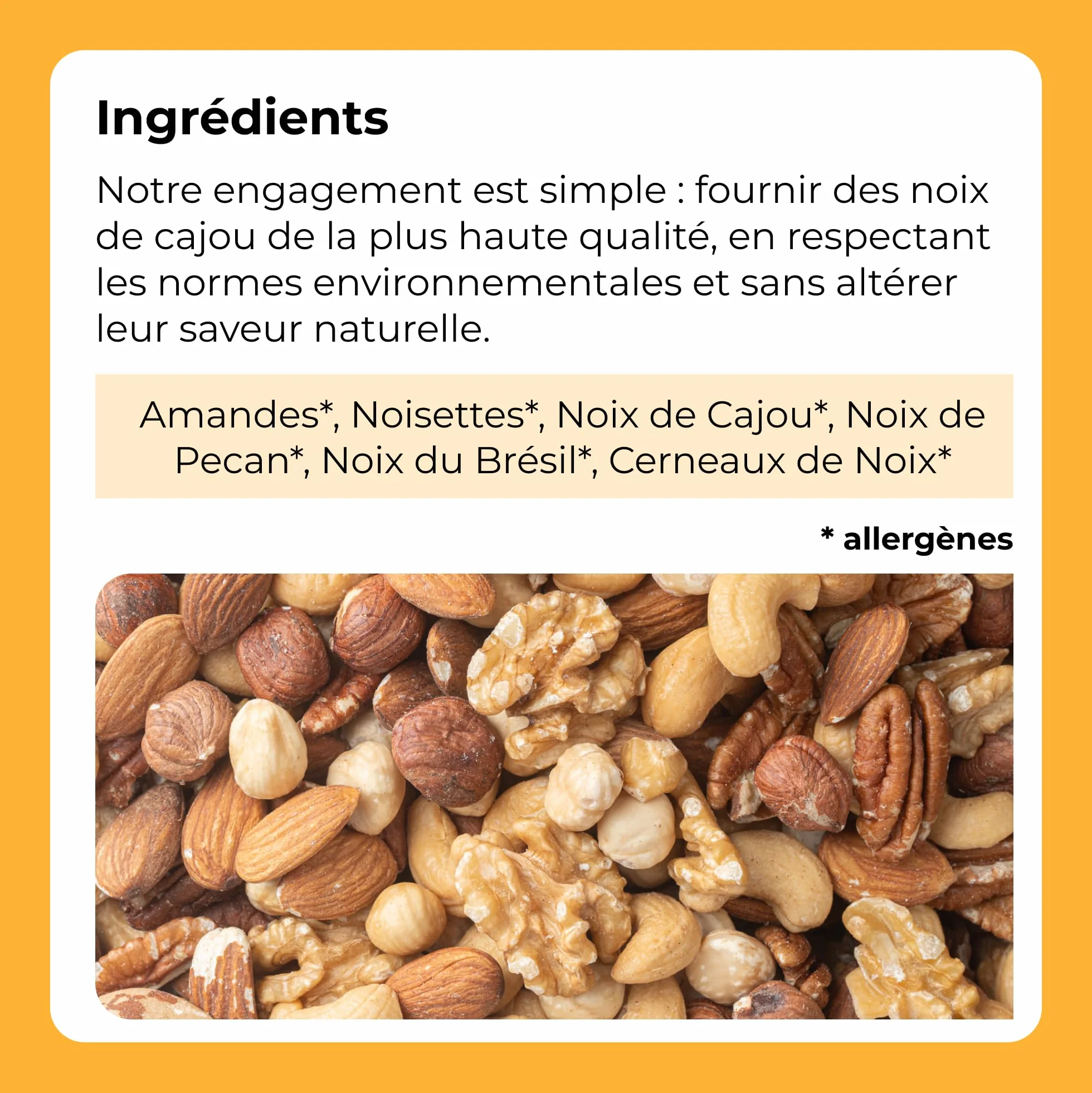 Mélange de Fruits secs 1 Kg (Amandes,Noisettes,Noix de Cajou,Noix de Pecan,Noix du Brésil et Cerneaux de Noix ) , sac refermabe
