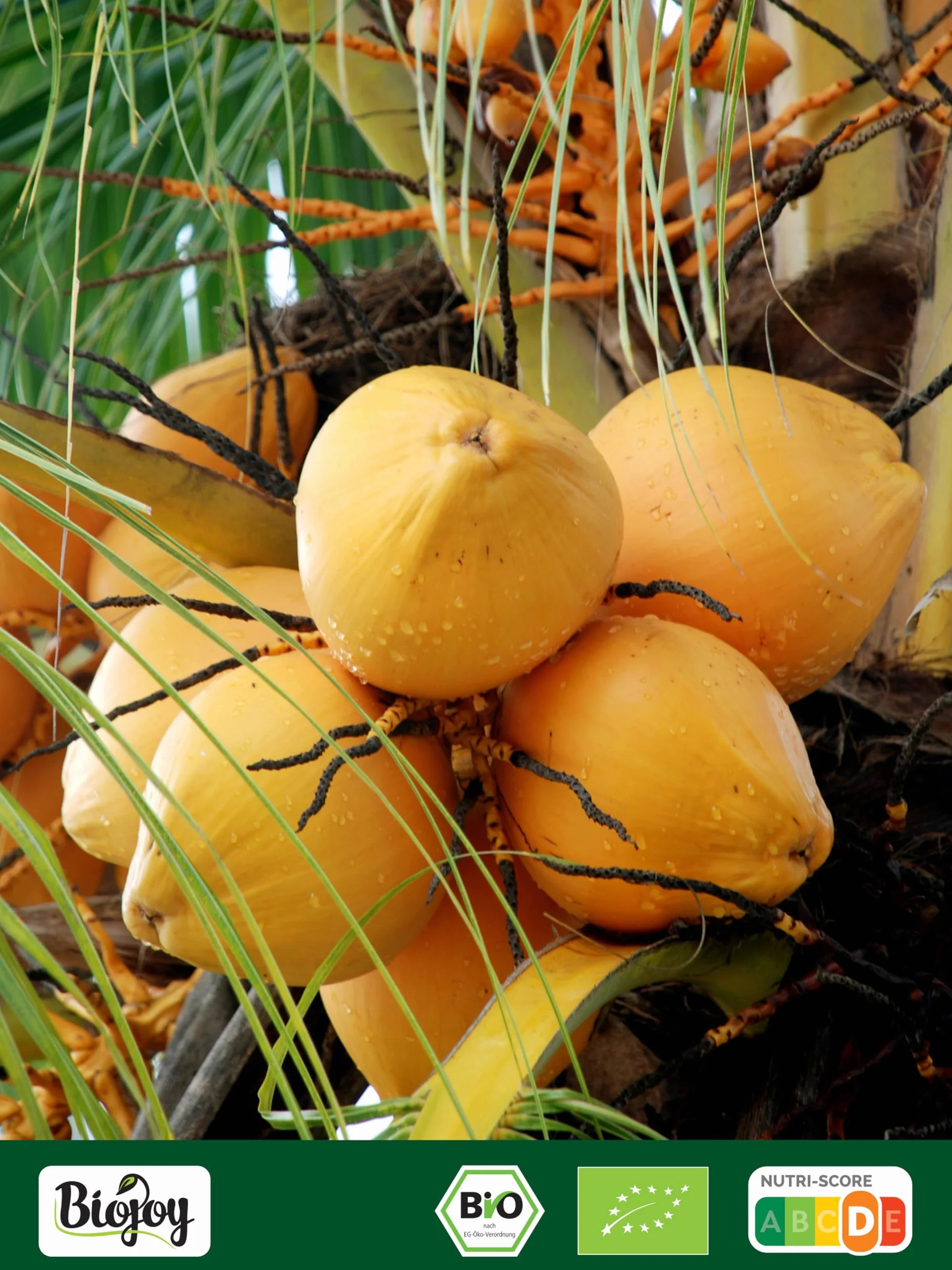 Biojoy Farine de coco BIO (1 kg), partiellement déshuilée et sans sucre ajouté