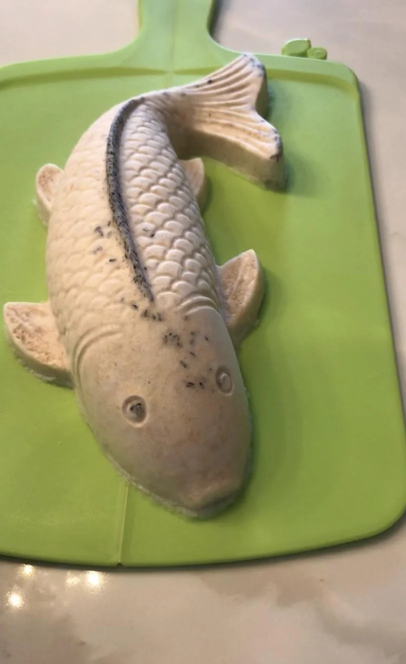 Tempeh starter culture 70 grams, Made in Scotland