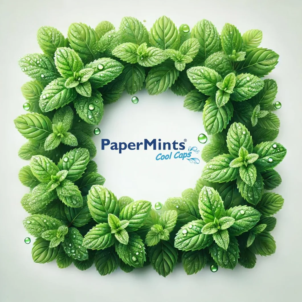 PAPERMINTS Billes à la Menthe Haleine Fraîche Bonbon Menthol Sans Sucre 60 Billes