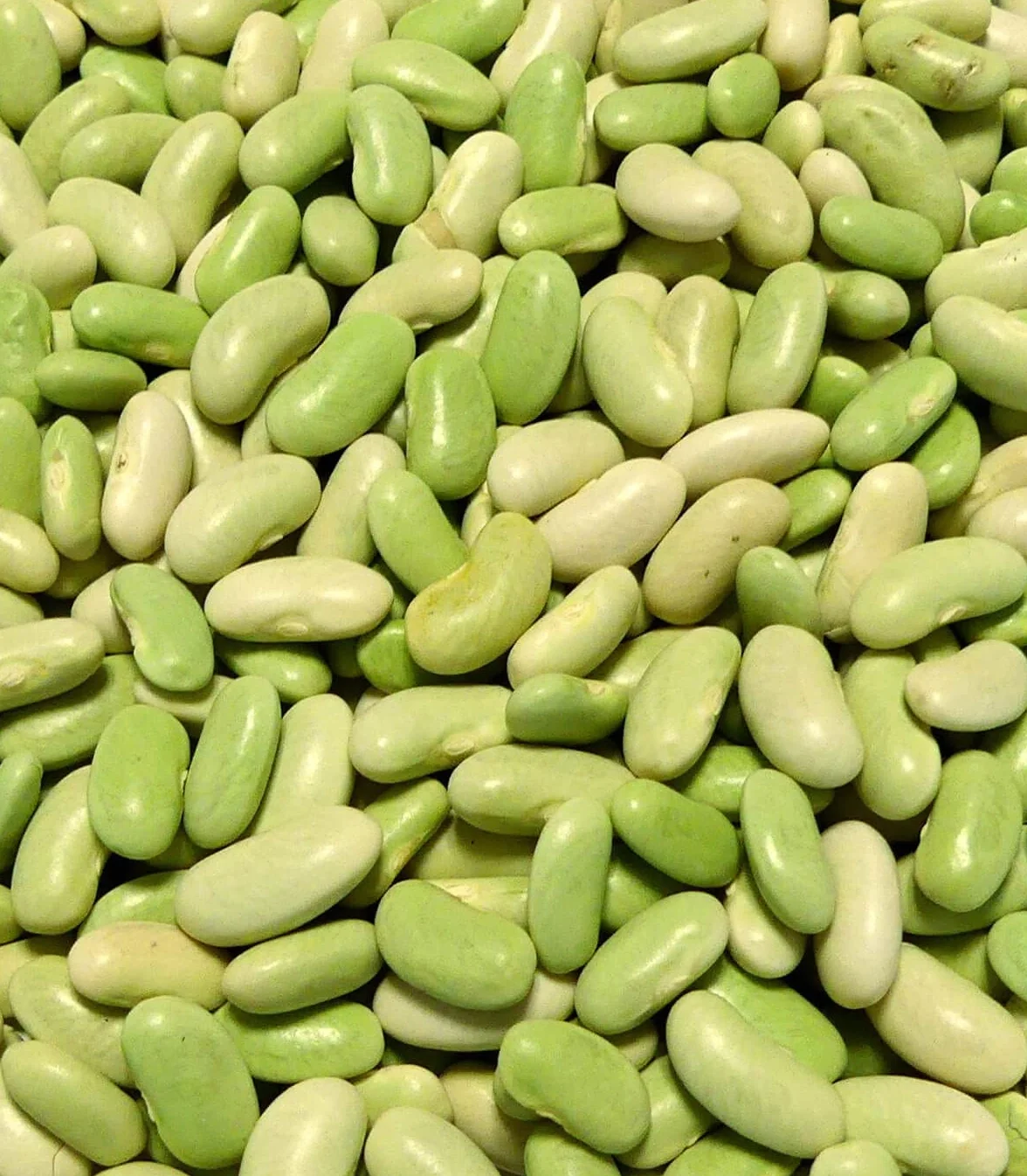 Flageolets Verts origine France - Sachet de 1Kg - Légumes secs - Sabarot