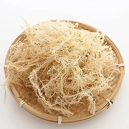 Seamoss, mousse de mer séchée, algues, vente en gros 500g