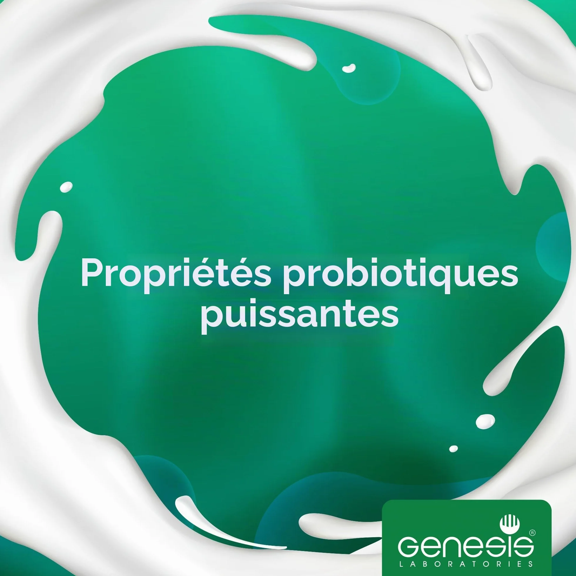 Culture de départ végétalienne pour le yaourt maison végétalien 10 sachets pour 10l de produit