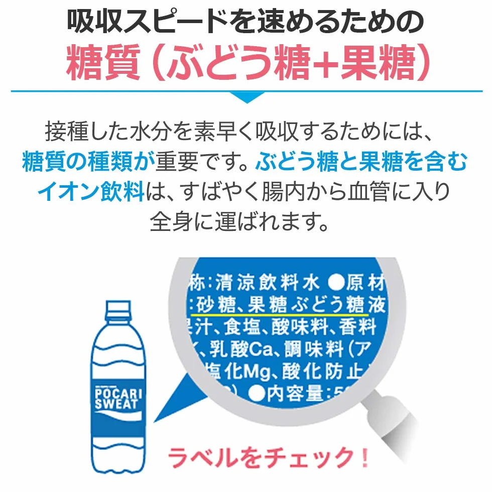 Ootsuka Pocari Sweat Ion Supply Sports Drink Mix (1 Box of 5 Packets)