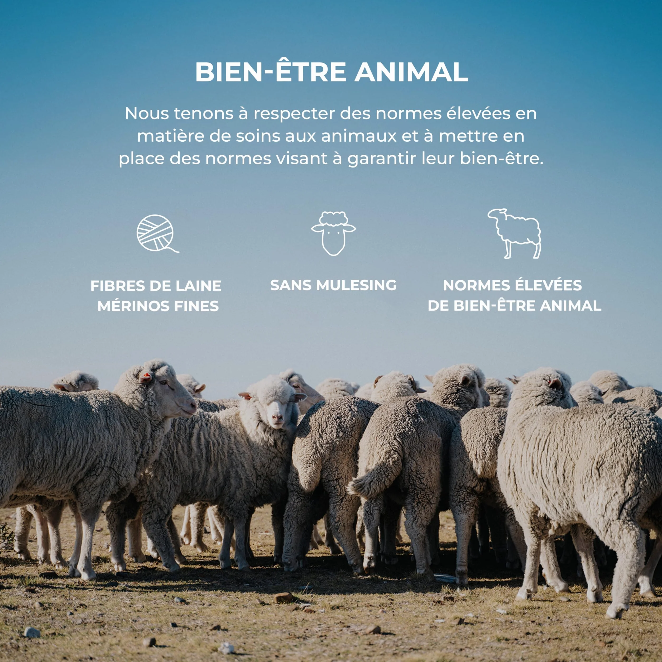 DILLING Legging pour Enfant en Laine à côtes Larges Gris Mélange