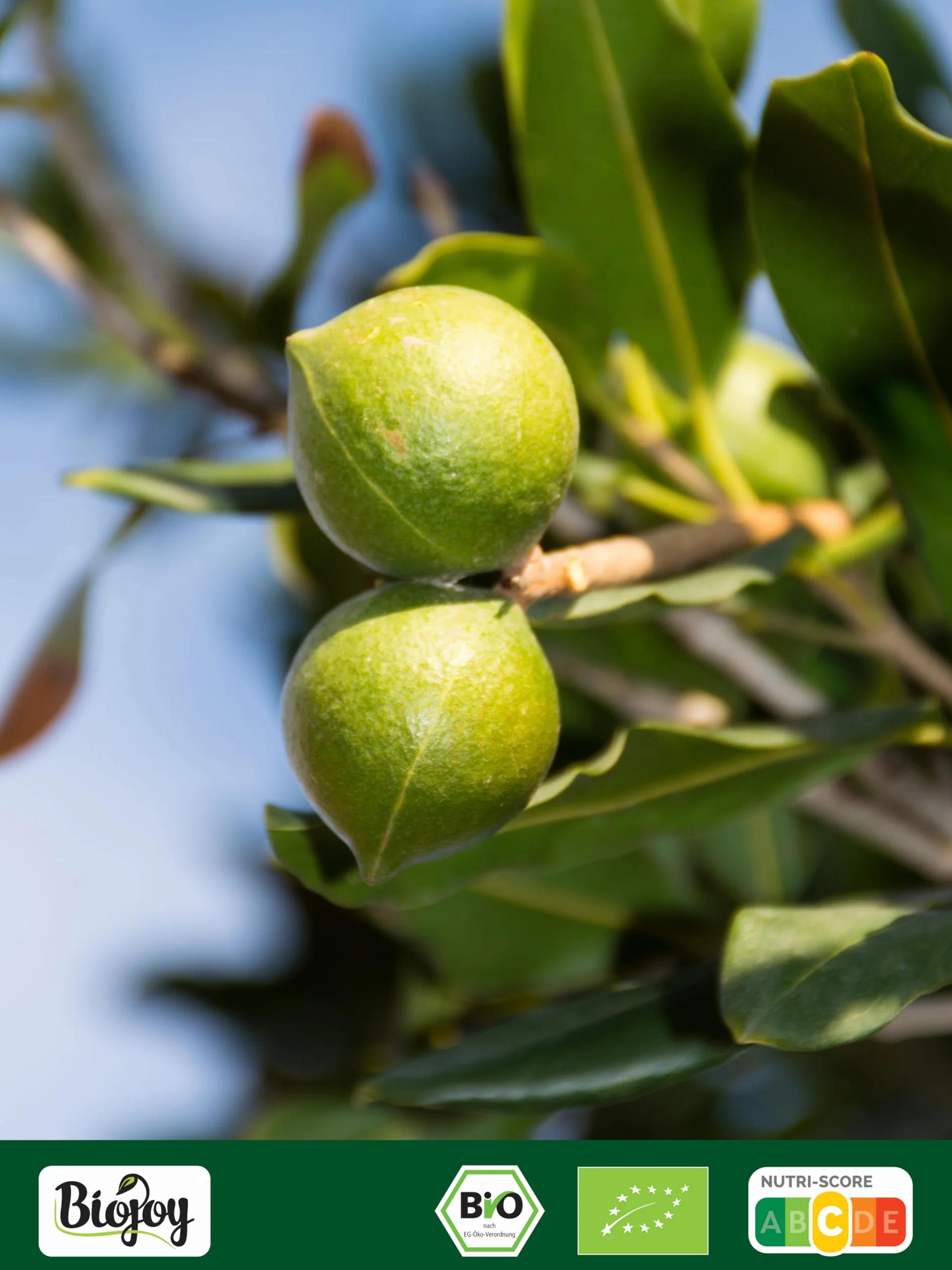 Biojoy Noix de Macadamia BIO (1 kg), entières et non salées