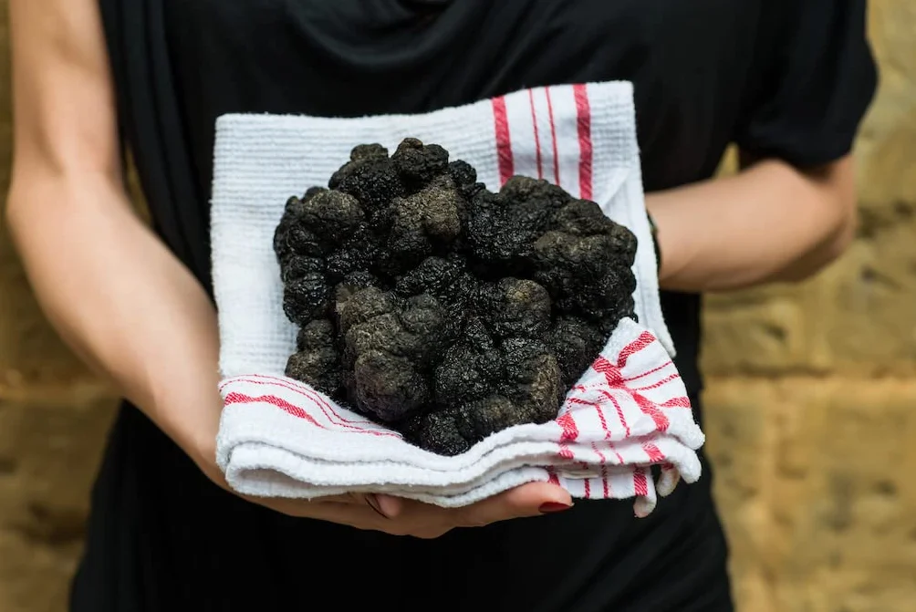 Edition Huile de truffe noire avec truffe noire entière 250 ml d'huile d'olive extra vierge vierge pour sauces et affiner les plats, convient aux régimes végétaliens et sans gluten