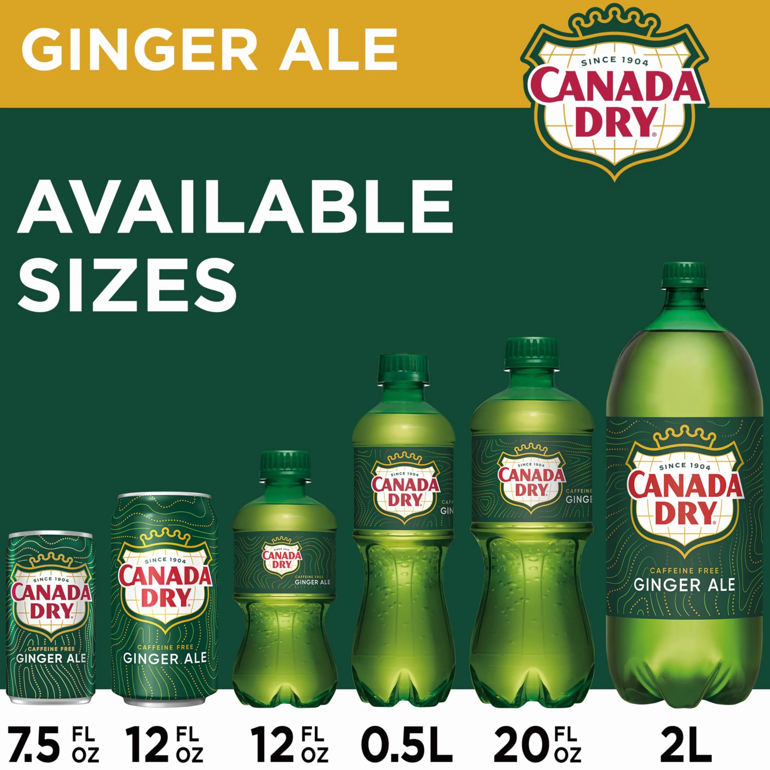 Canada Dry Ginger Ale Soda US import lot de 12 canettes de 355 ml - Soda au gingembre