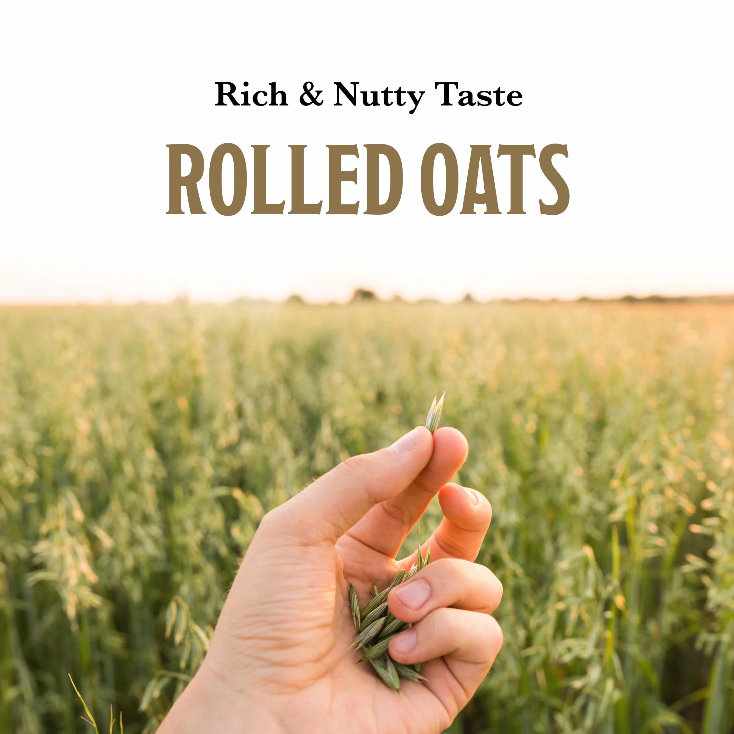 Mccann's Quick Cook Irish Oatmeal (12x16 Oz)