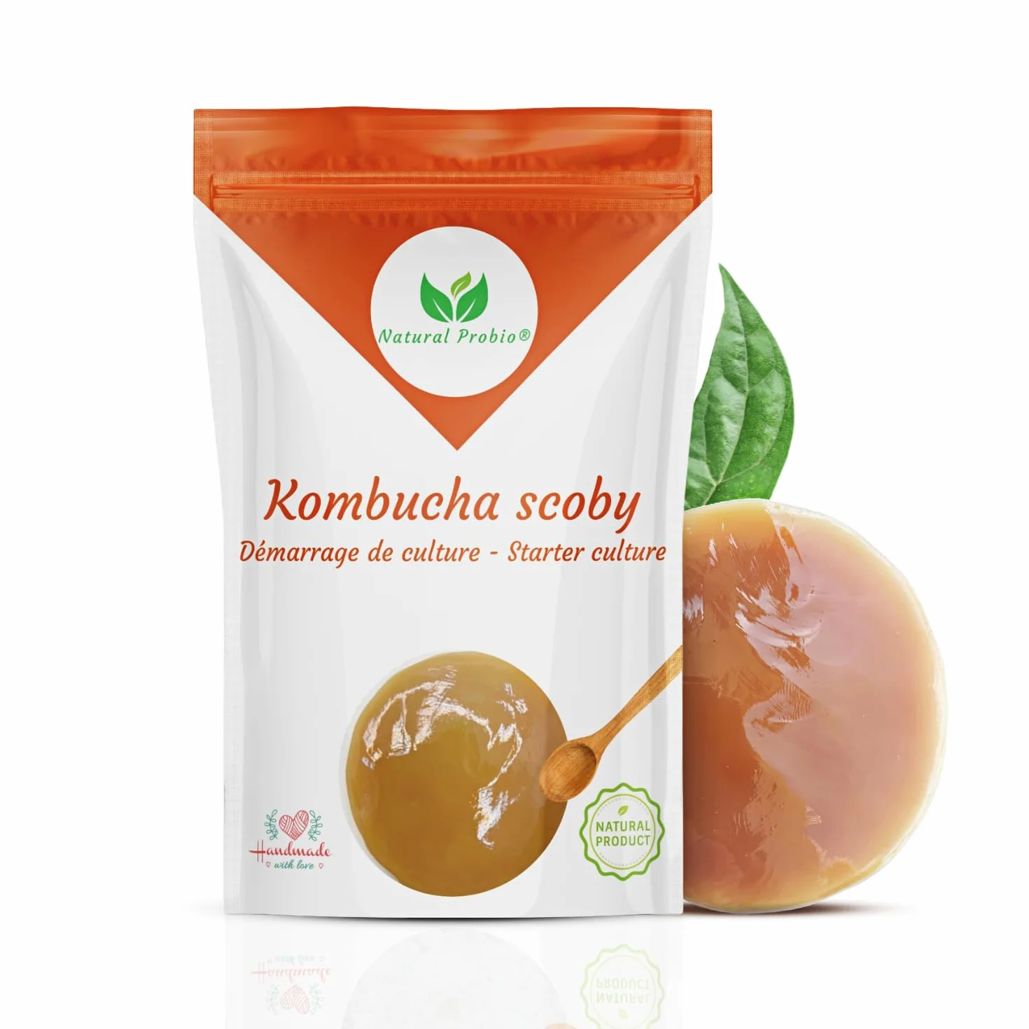 Natural Probio® Original Kombucha Scoby - Kit de démarrage de Culture - Mere de Kombucha de souche Authentique + Notice complète, Recette et Conseils + Accès Ebook offert